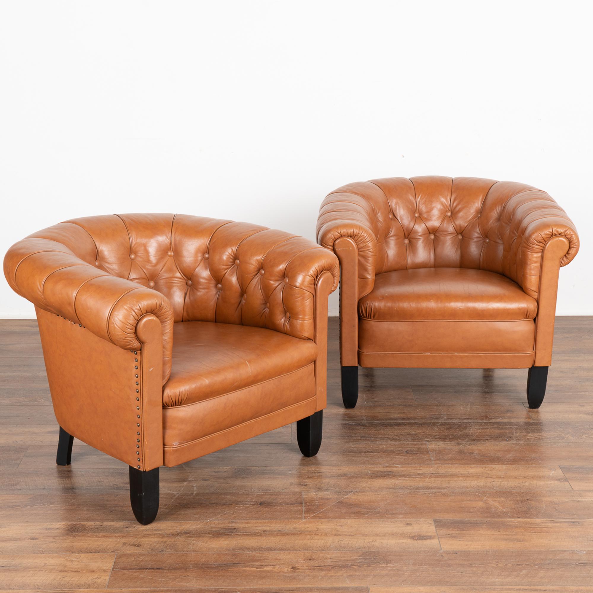 Pair, brown leather barrel back arm chairs with contrasting black hard wood legs.
Upholstered club chairs in button-tufted cognac leather, rolled arms and nailhead trim along sides.
Sits low; sold in original vintage condition. Typical age relatet