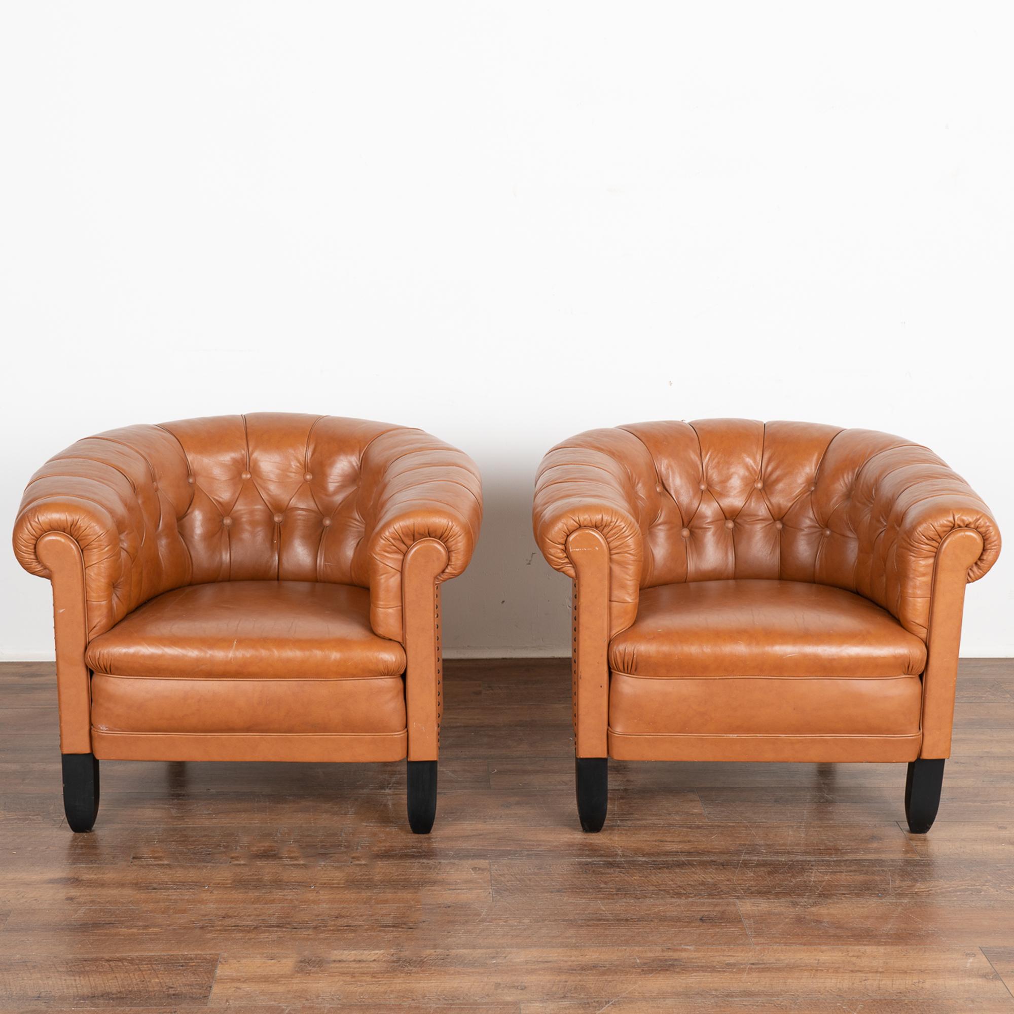 Chesterfield Pair, Vintage Brown Leather Barrel Back Arm Chairs, Denmark circa 1940 For Sale