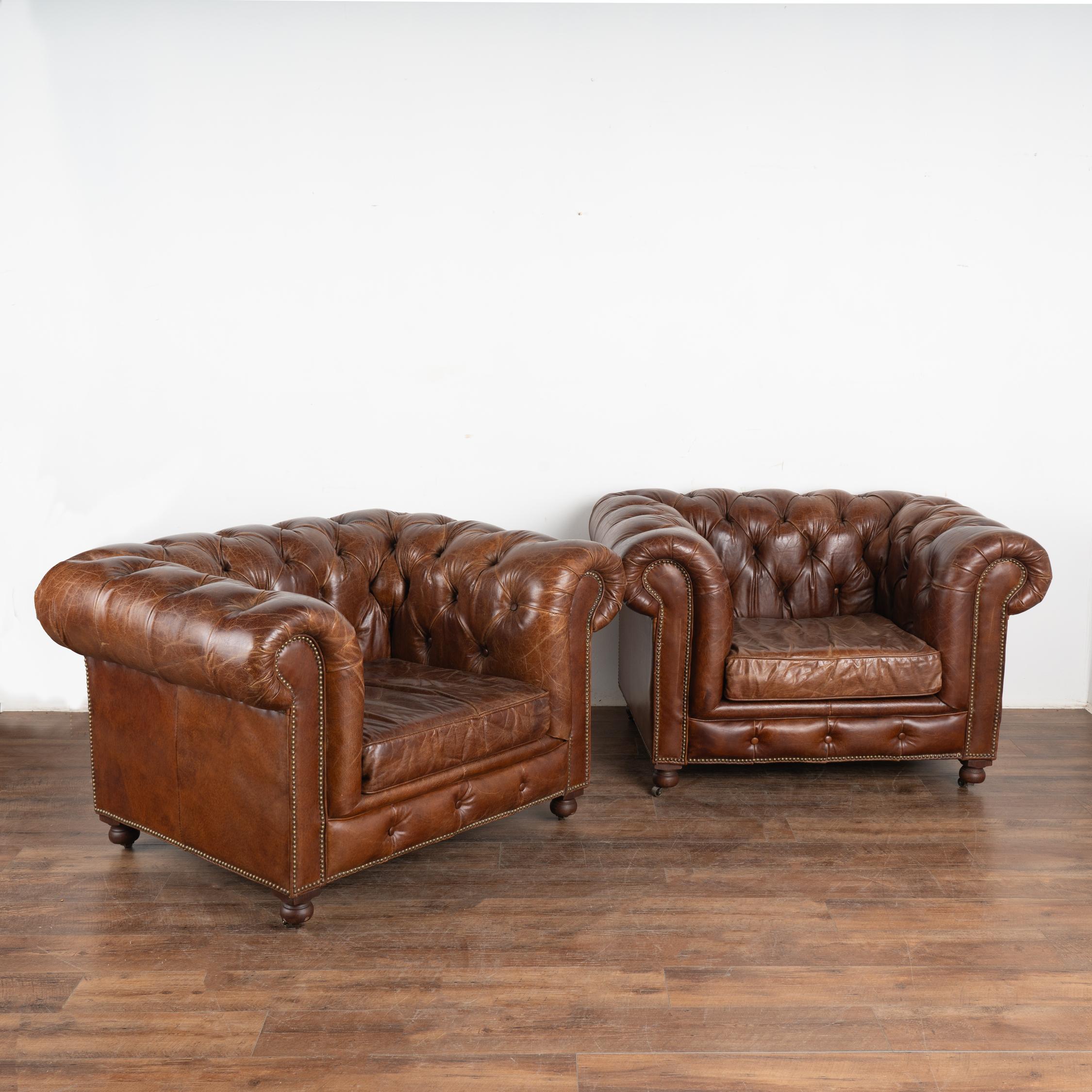 Pair, vintage brown leather chesterfield club arm chairs on castors.
Upholstered in tight button-tufted rich brown leather with nail head trim, rolled arms and loose seat cushions.
Sits comfortably and low with seat height at 16.5