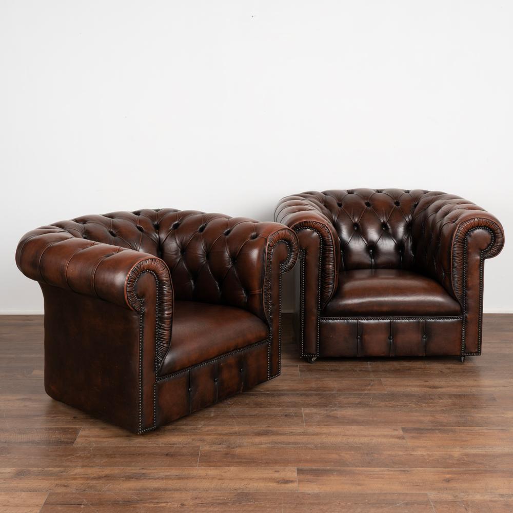 Pair, vintage brown leather chesterfield club arm chairs on castors.
Upholstered in tight button-tufted brown leather with nail head trim, rolled arms with decorative pleating and loose seat cushions.
Sits comfortably and low with seat height at