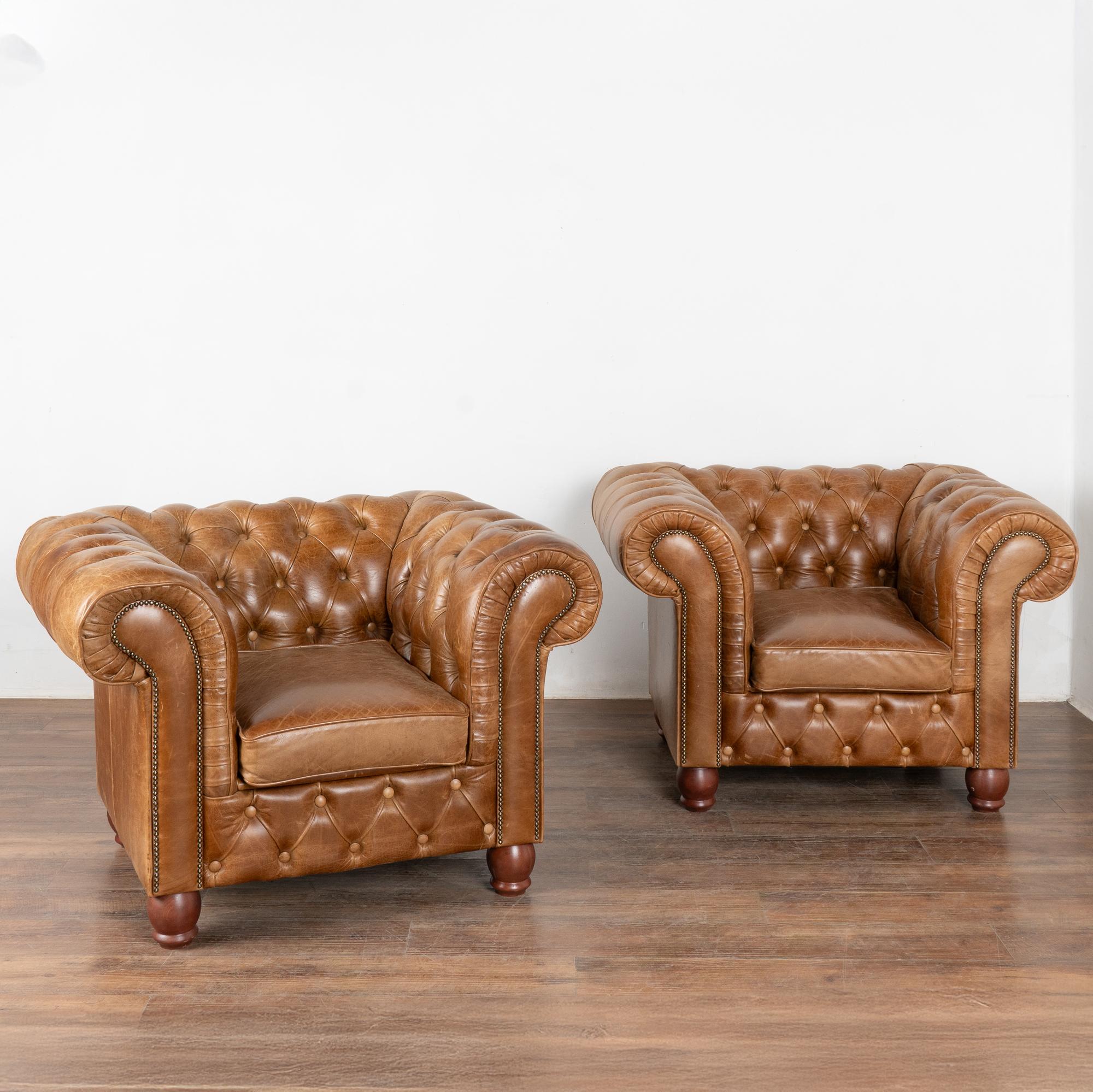 Pair, handsome vintage brown leather chesterfield club armchairs resting on large turned wood feet.
Upholstered in tight button-tufted brown leather with nailhead trim, rolled arms and loose seat cushions with zipper access.
Sold in original vintage