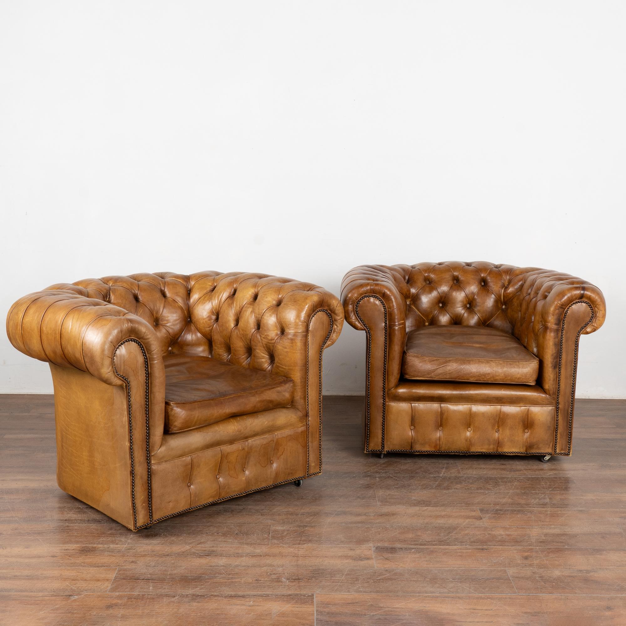 Paar hübsche braune Chesterfield-Clubsessel aus Leder, die auf Rollenfüßen ruhen.
Gepolstert mit festem braunem Leder mit Knopftuft, Nagelkopfverzierung, gerollten Armlehnen und losen Sitzkissen mit Reißverschluss.
Sitzt bequem und niedrig mit einer