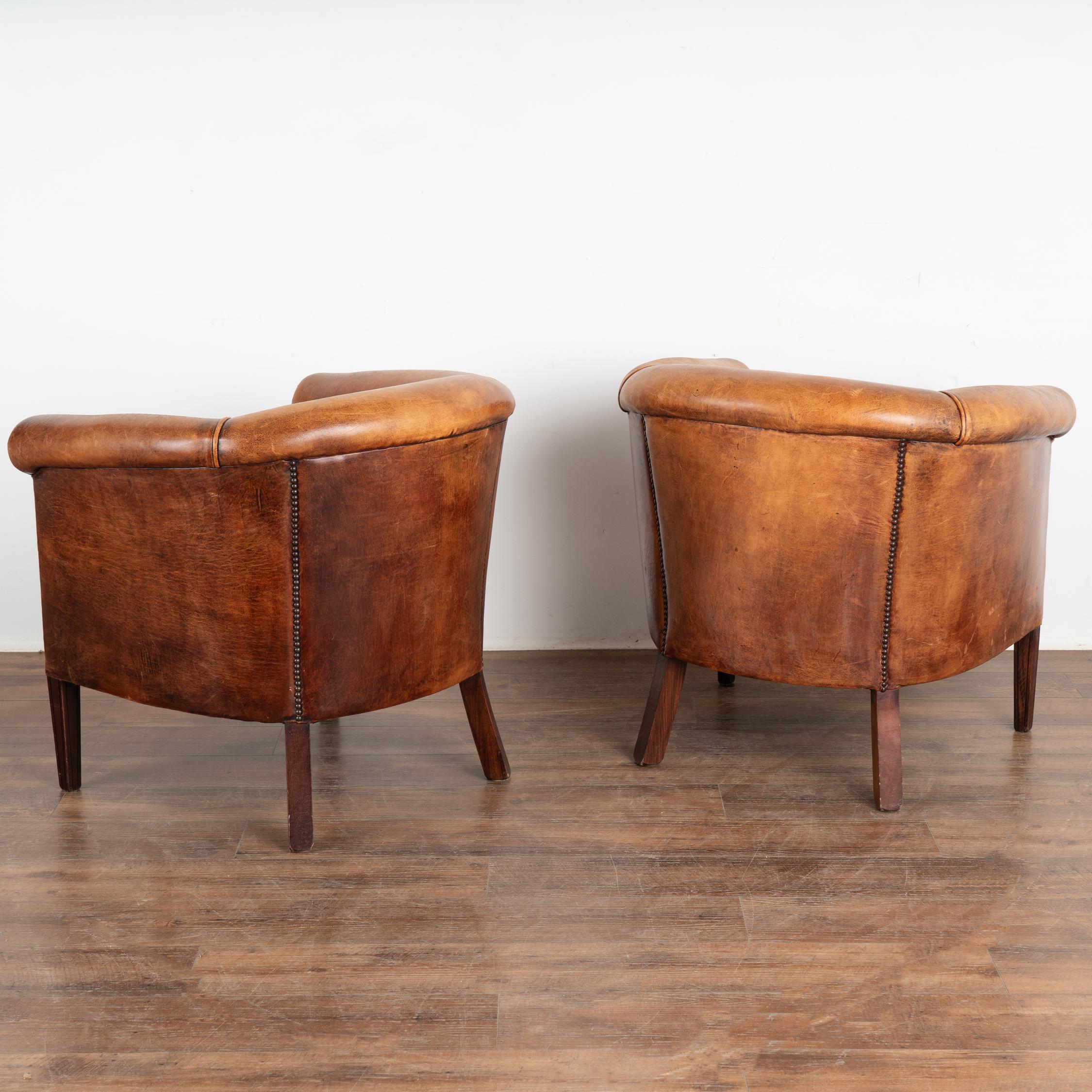 Pair, Vintage Brown Leather Club Tub Arm Chairs, The Netherlands 1960-70 4