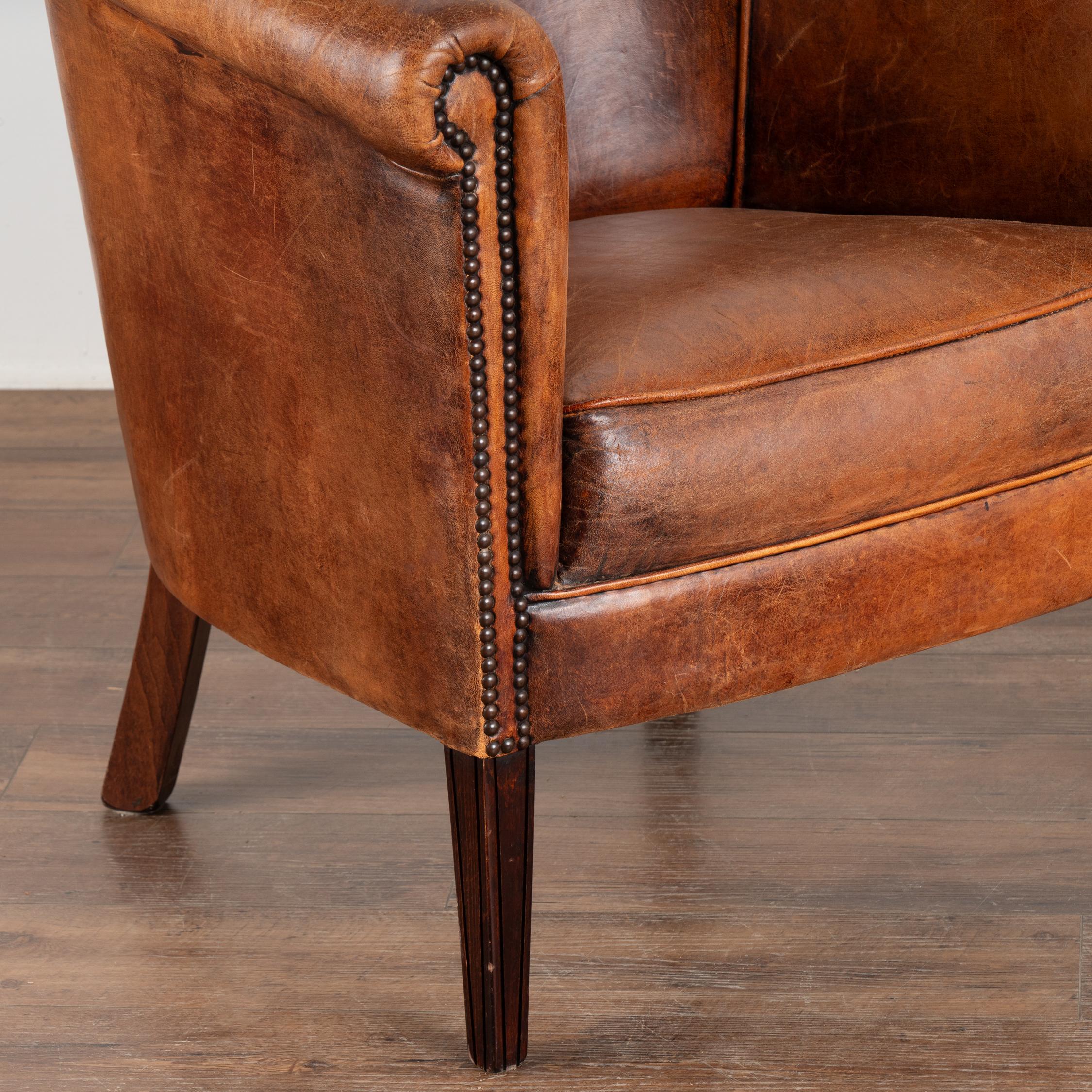 Pair, Vintage Brown Leather Club Tub Arm Chairs, The Netherlands 1960-70 1