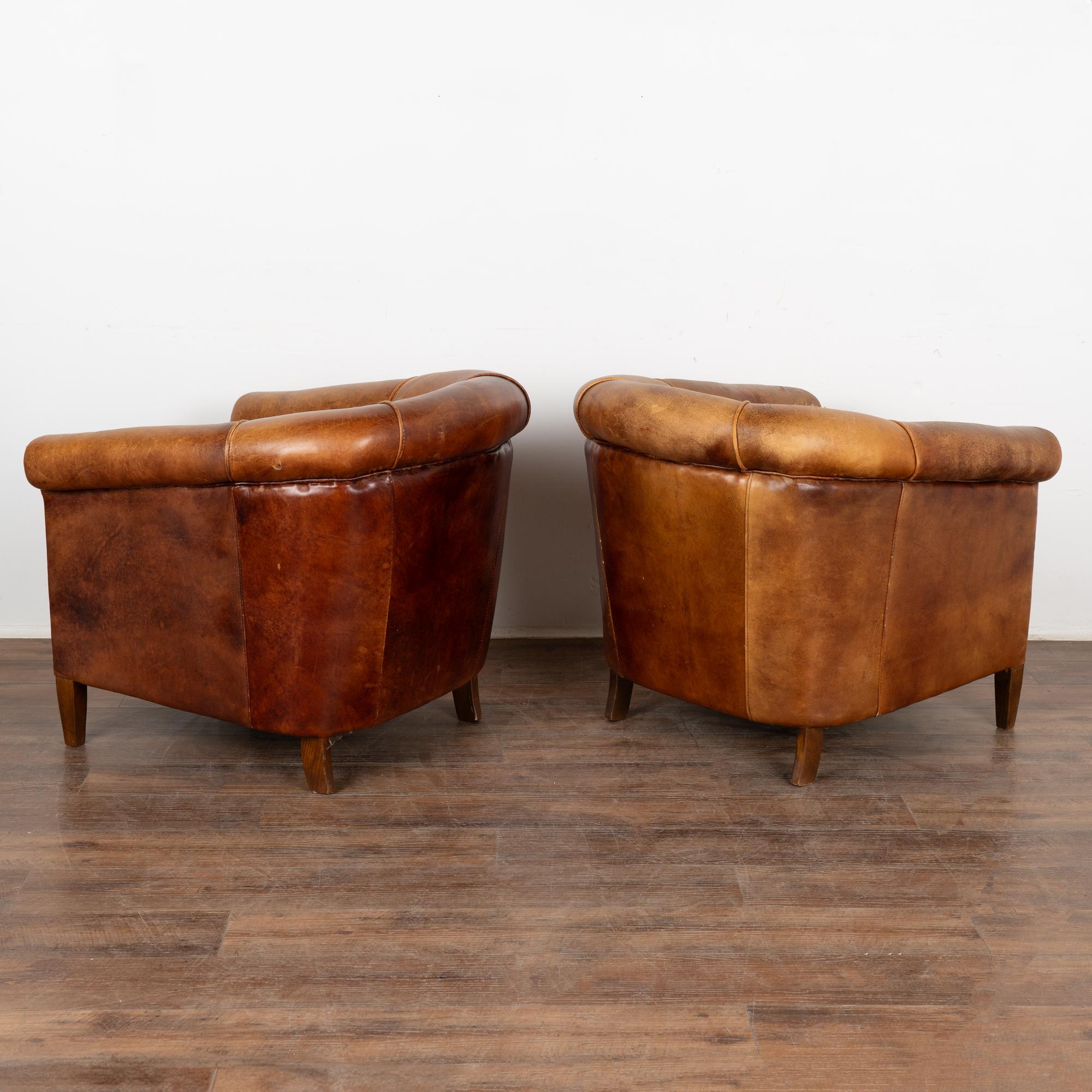 Pair, Vintage Brown Leather Tub Club Chairs, France circa 1940 6