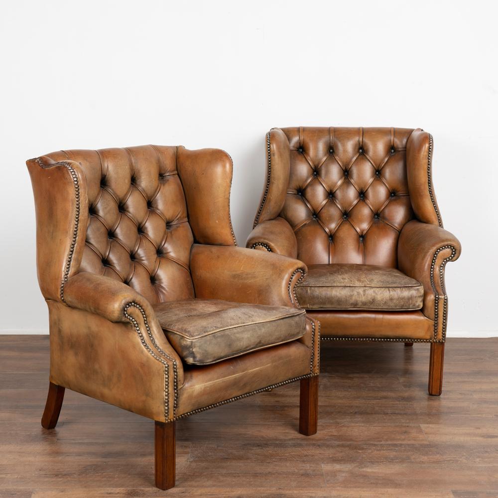 Pair, brown leather Chesterfield wingback club chairs in brown leather with aged patina.
Indented wings, block feet, buttons and nailhead trim in place.
Aged leather reflects generations of use, seen in seat discoloration and throughout which