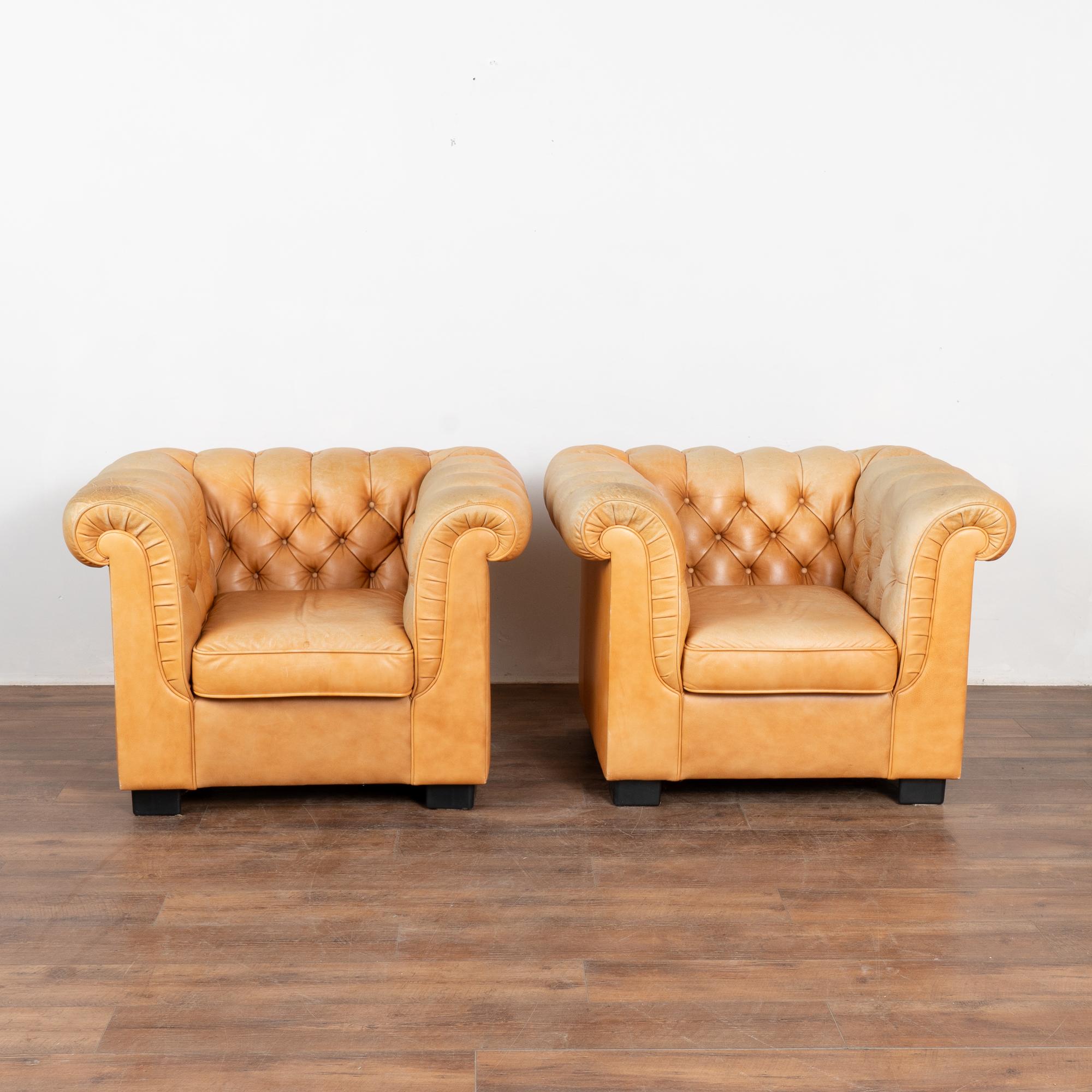 Danish Pair, Vintage Camel Leather Chesterfield Club Armchairs, Denmark circa 1980 For Sale