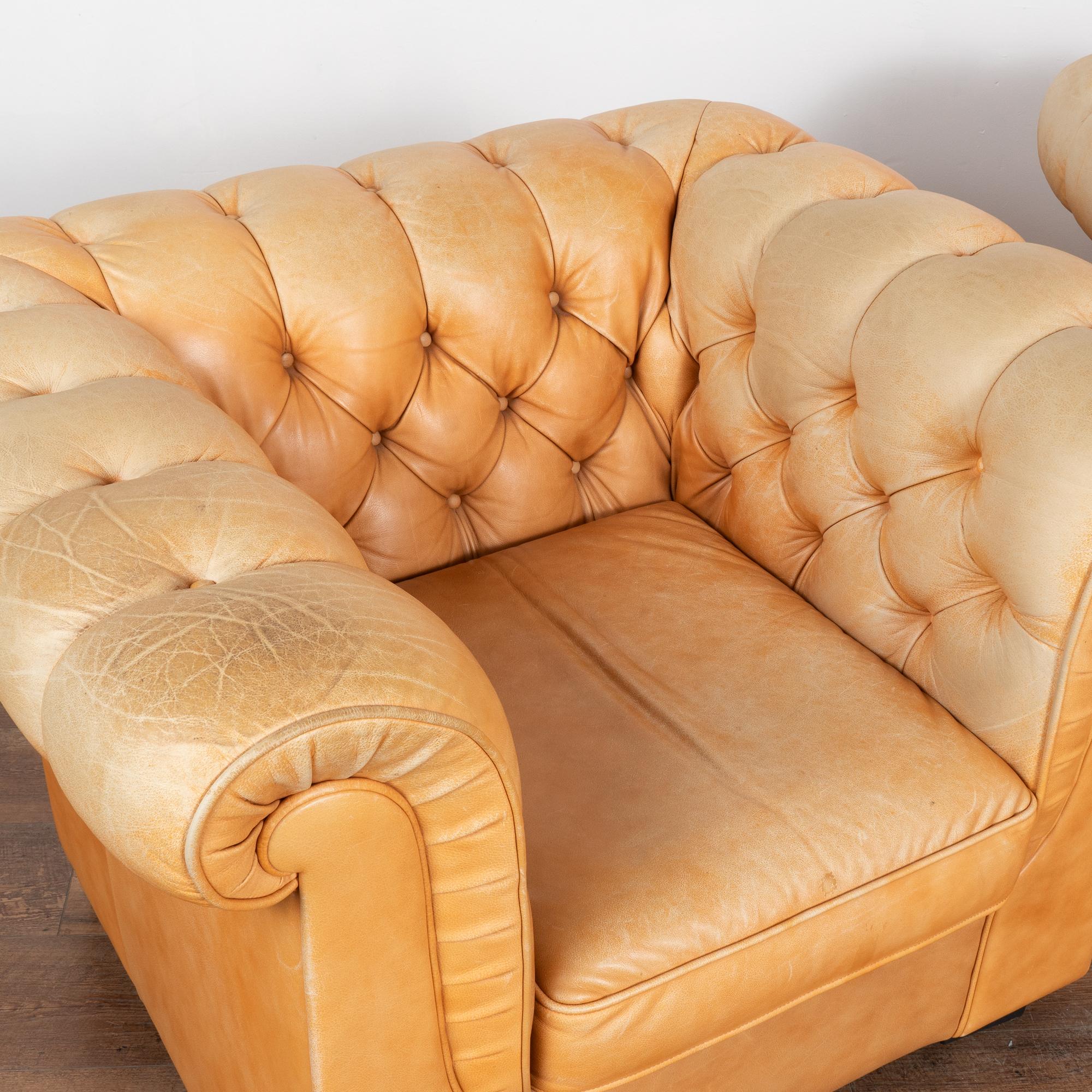 Pair, Vintage Camel Leather Chesterfield Club Armchairs, Denmark circa 1980 In Good Condition For Sale In Round Top, TX