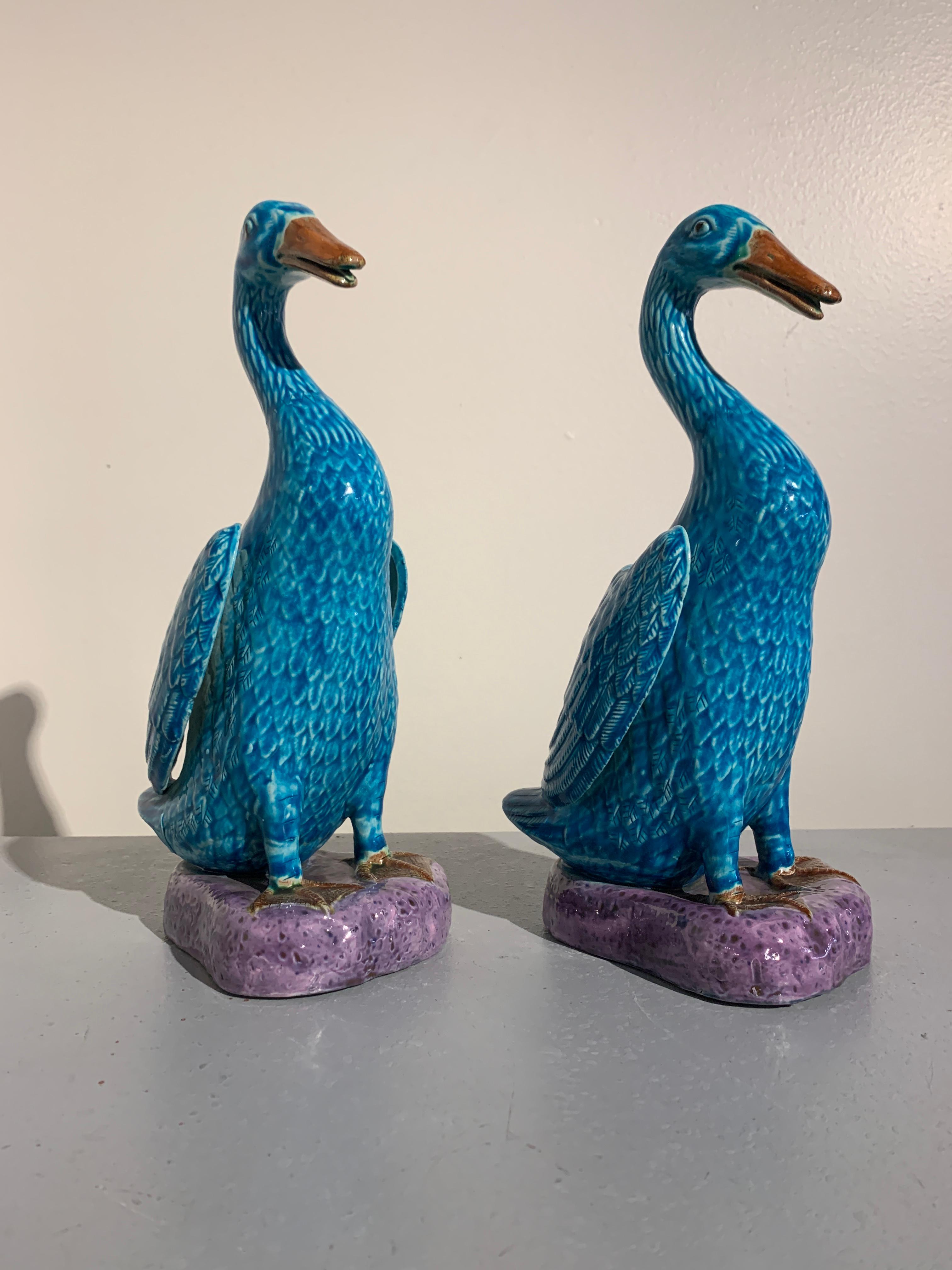 A charming pair of Chinese export turquoise and purple glazed porcelain models of ducks, 1970s.

The ducks portrayed standing upon a purple glazed rock, necks raised, wings partially outstretched. The bodies glazed in turquoise, with finely