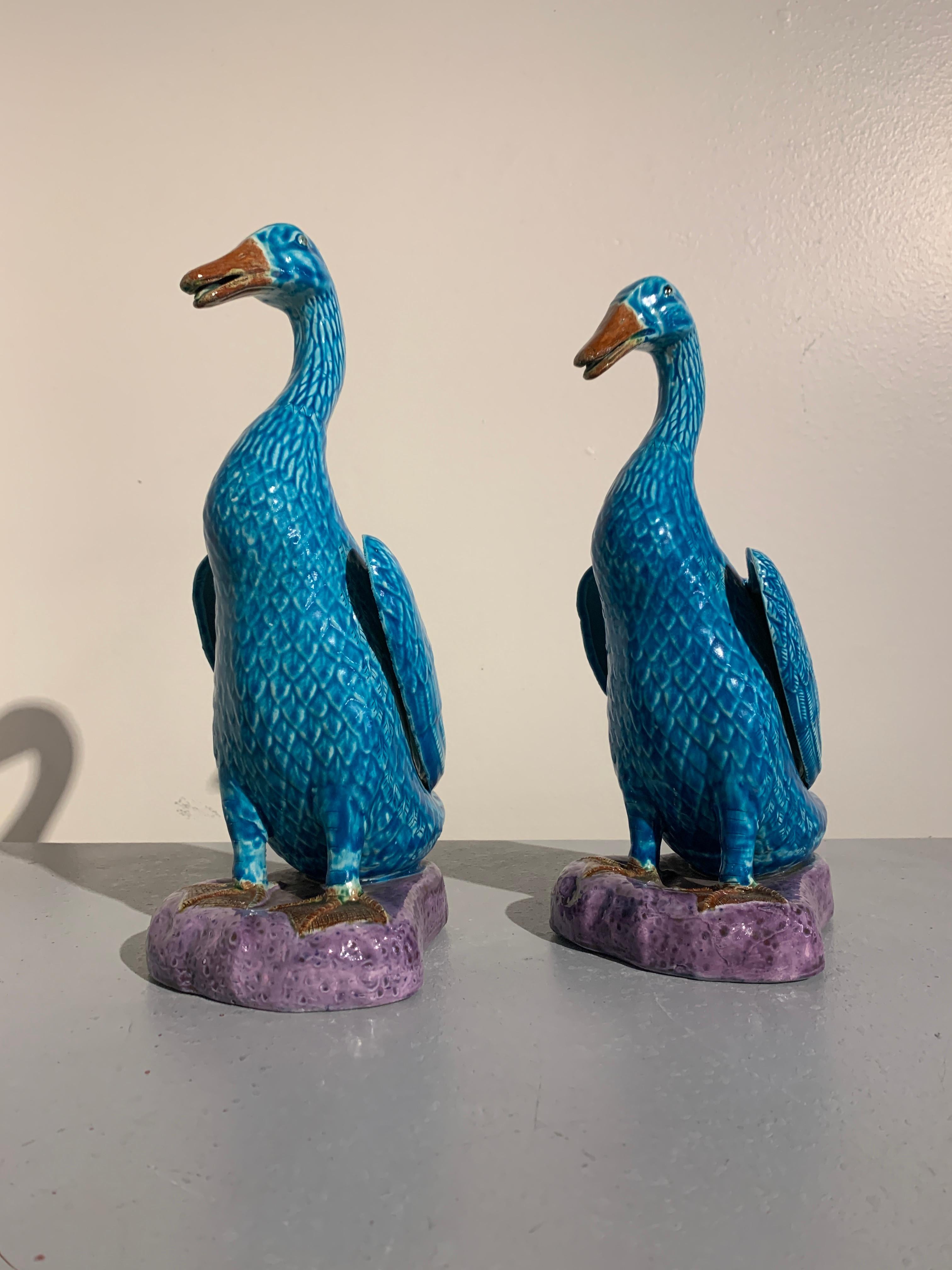 Hong Kong Pair of Vintage Chinese Export Turquoise Glazed Ducks, 1970s
