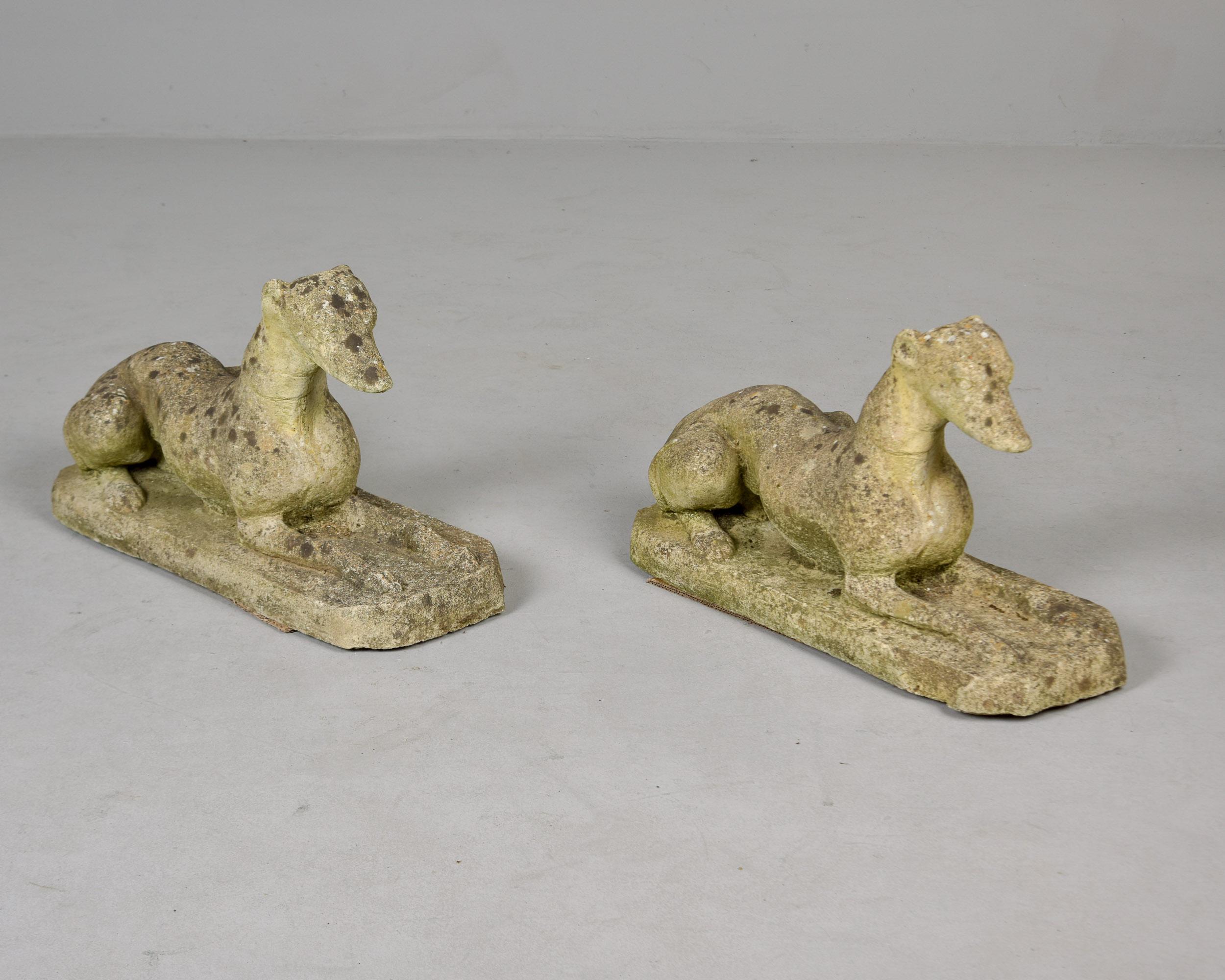 Pair Vintage English Cast Stone Dog Garden Statues (Statues de chien de jardin en pierre moulée) en vente 7