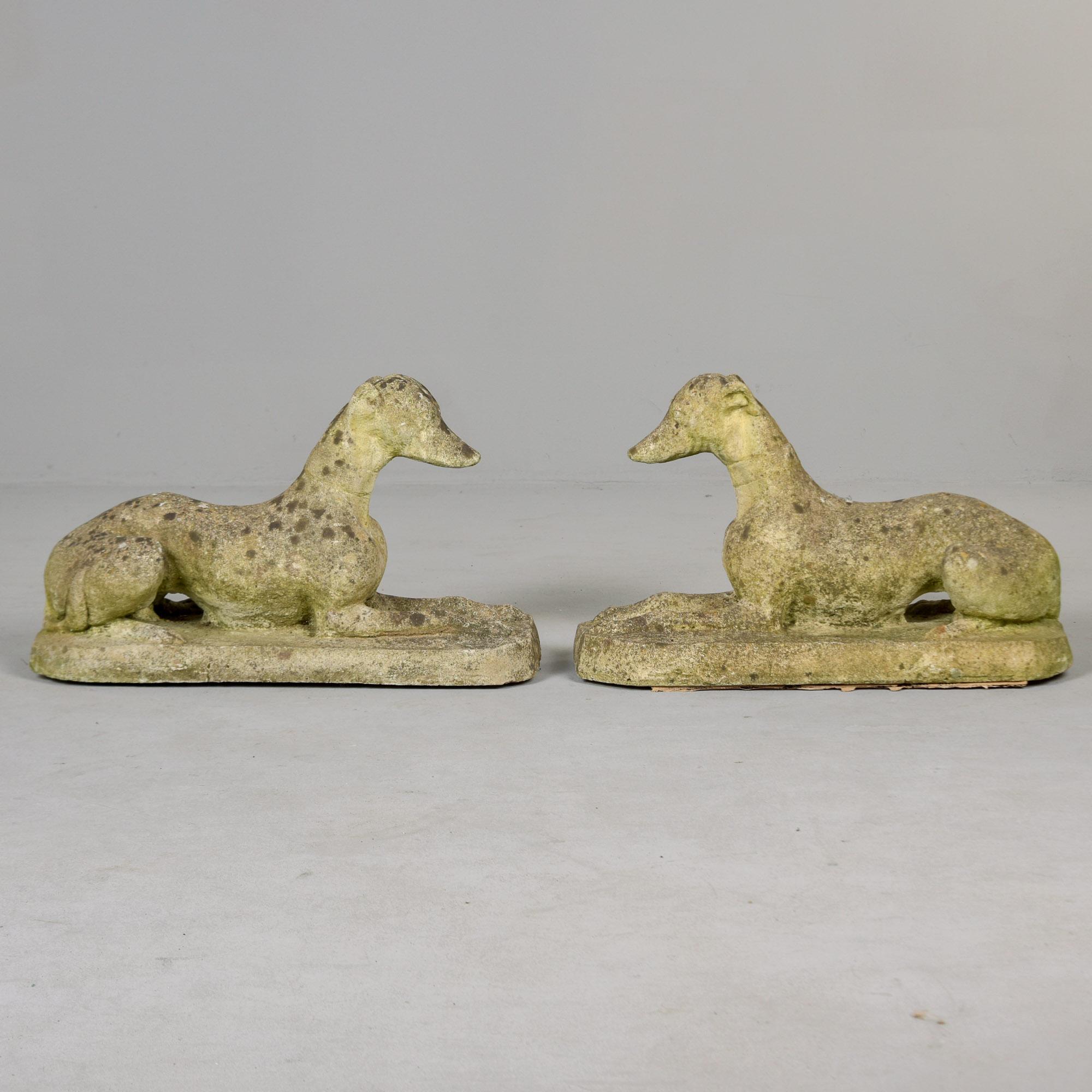 Trouvée en Angleterre, cette paire de statues de jardin en béton et en pierre date des années 1940. Paire de statues représentant des lévriers ou des whippets. Usure honnête et patine/mousse avec quelques écailles mineures sur le bord de la base -