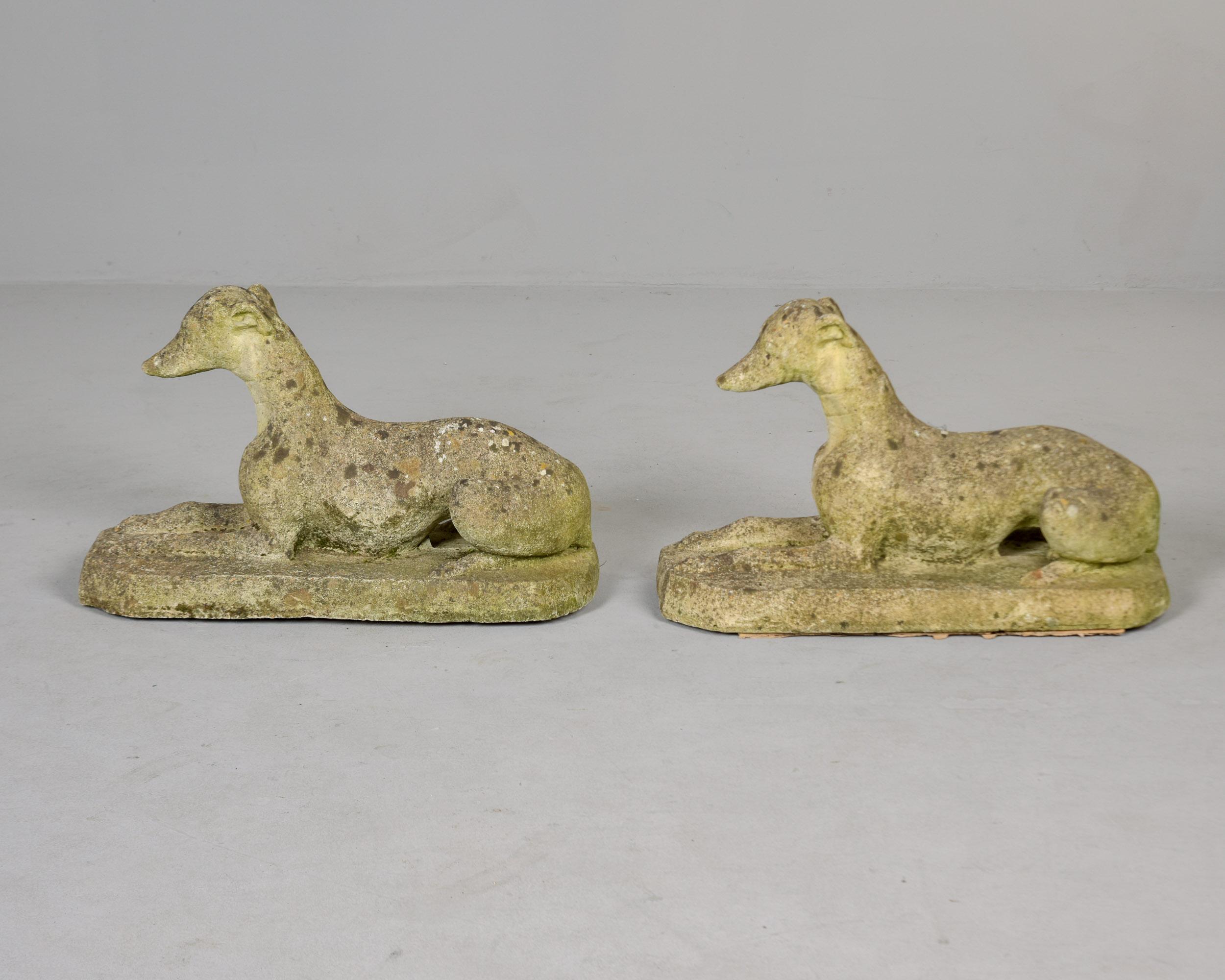 Anglais Pair Vintage English Cast Stone Dog Garden Statues (Statues de chien de jardin en pierre moulée) en vente
