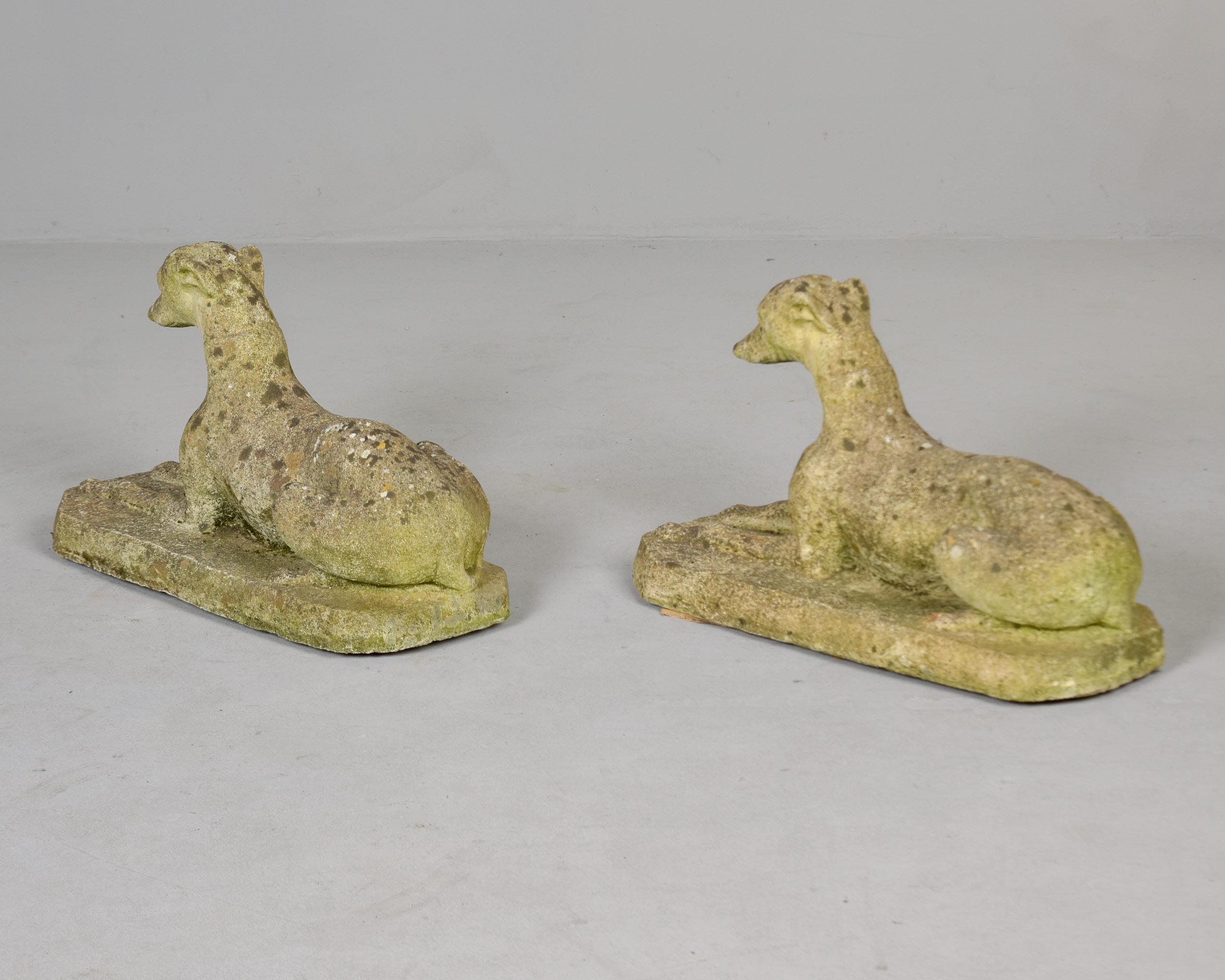 Pair Vintage English Cast Stone Dog Garden Statues (Statues de chien de jardin en pierre moulée) Bon état - En vente à Troy, MI