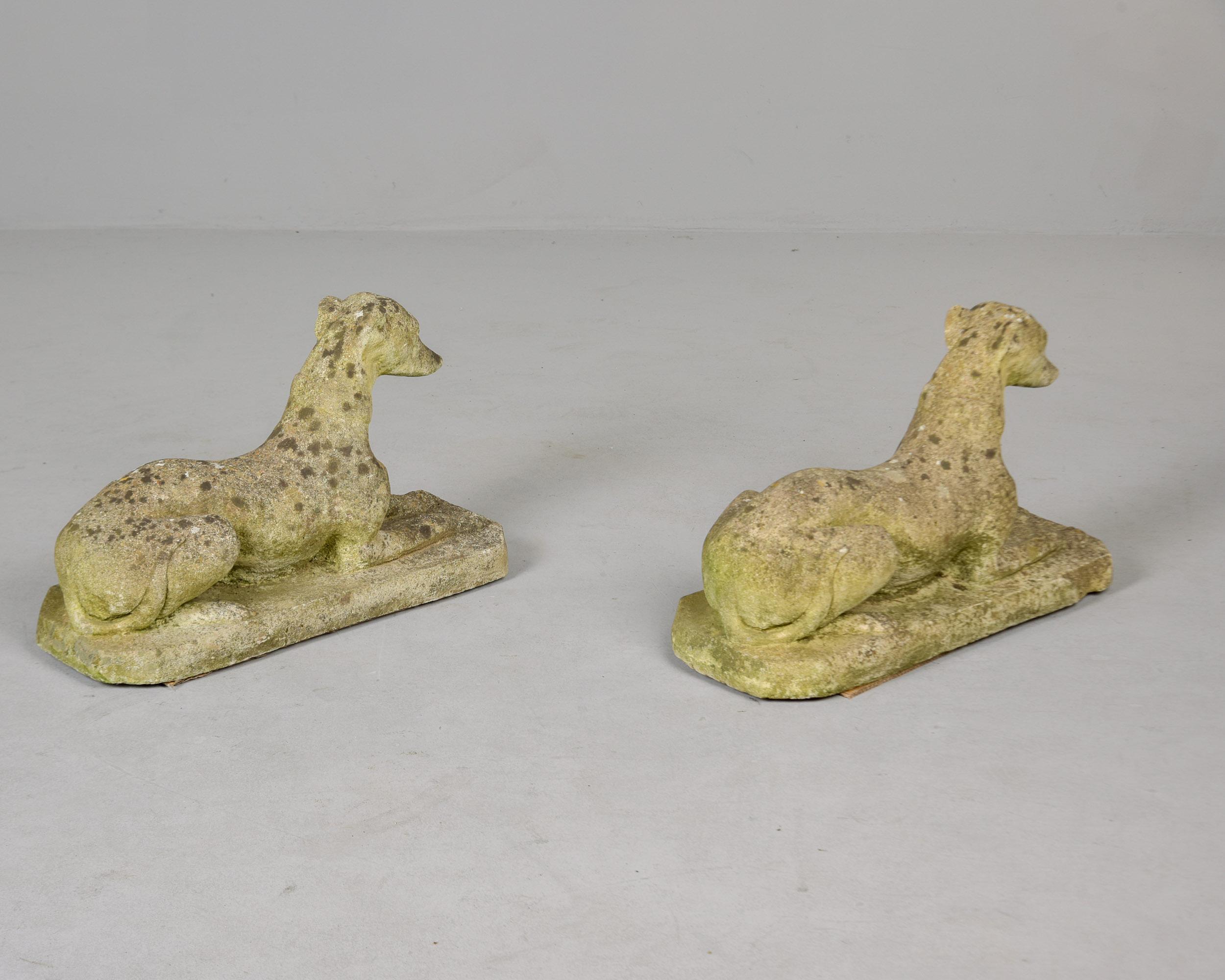 Pair Vintage English Cast Stone Dog Garden Statues (Statues de chien de jardin en pierre moulée) en vente 1