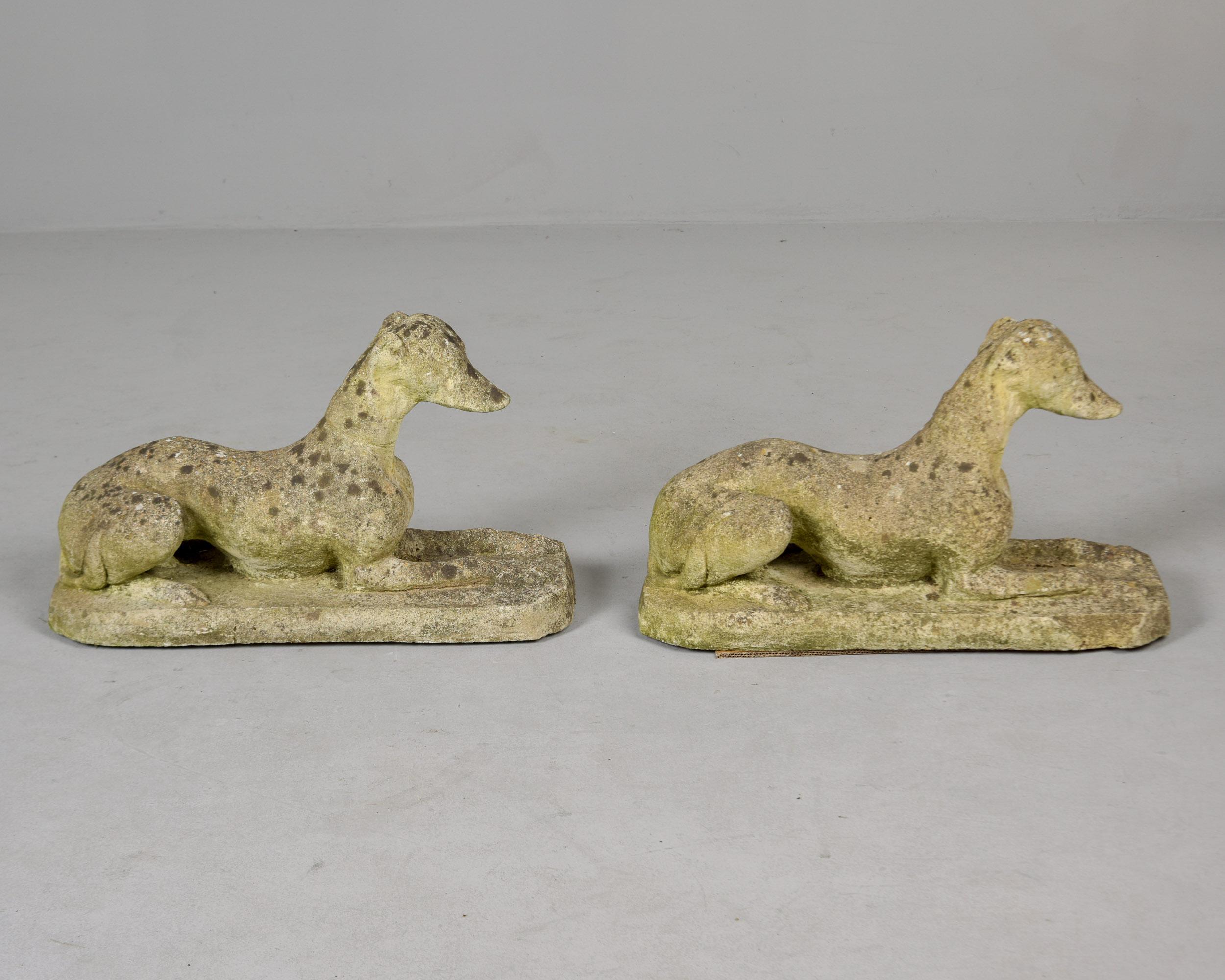Pair Vintage English Cast Stone Dog Garden Statues (Statues de chien de jardin en pierre moulée) en vente 3