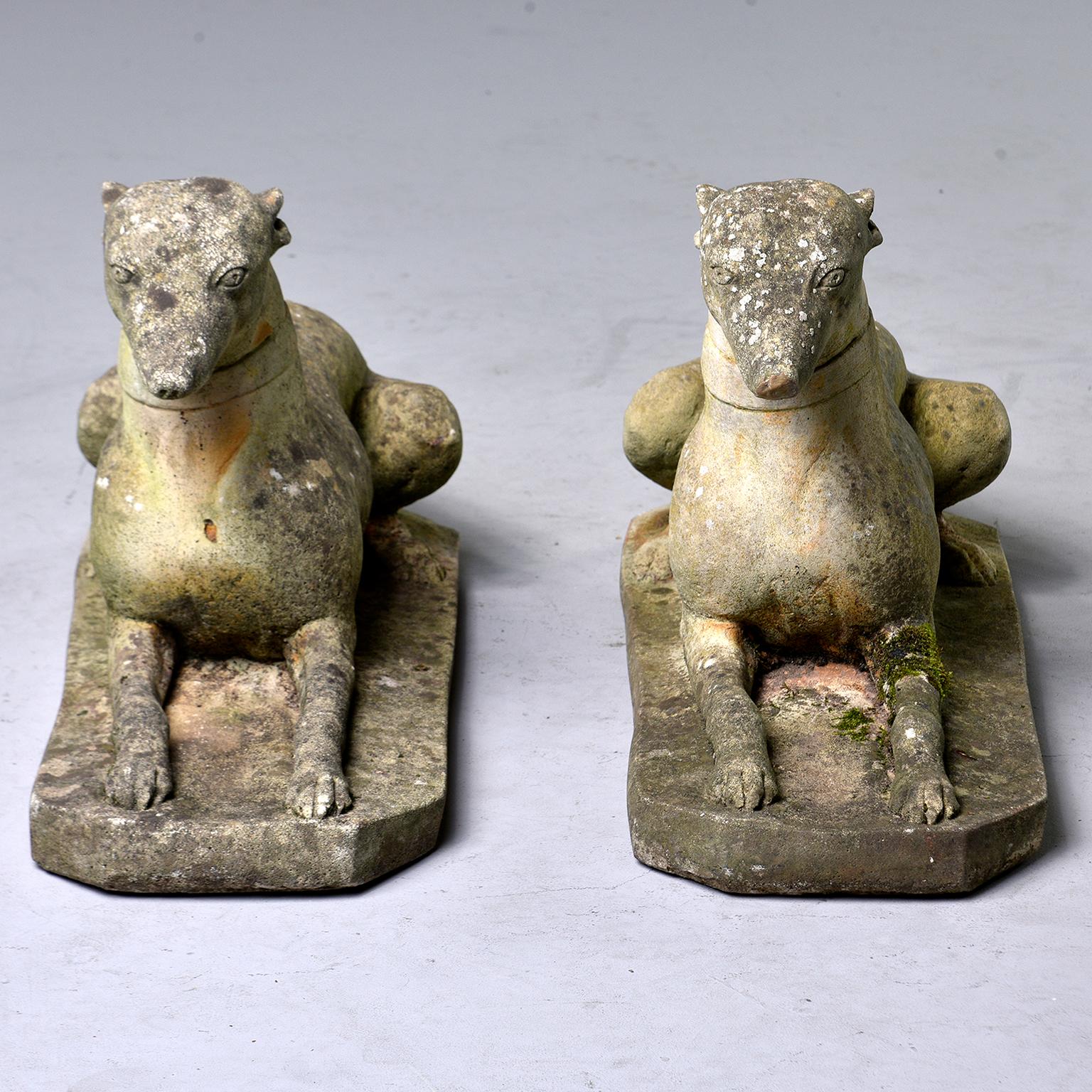 Pair of English stone garden statues in the form of whippet dogs. Sleek and classically rendered, each statue shows significant outdoor wear and patina including moss. Unknown maker. Sold and priced as a pair.
