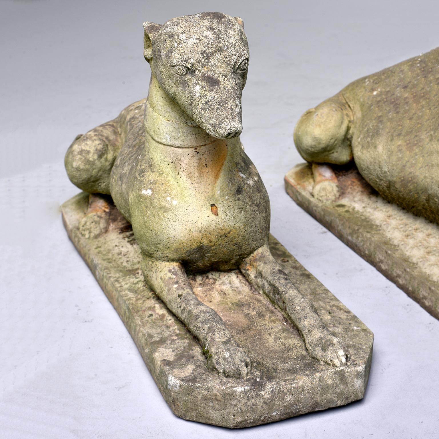Cement Pair of Vintage English Stone Garden Whippets
