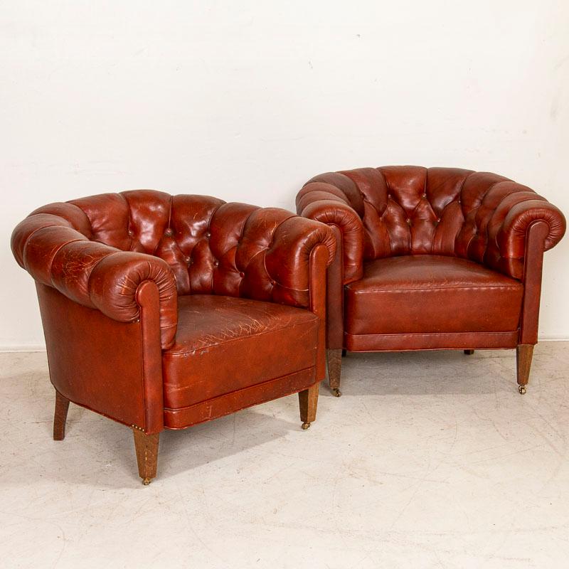 Sit back and relax in this pair of wonderful vintage leather barrel back club chairs. The rounded arms and backs are accented with piping and covered buttons which are all in place. Notice the castors on front feet and decorative nail heads along