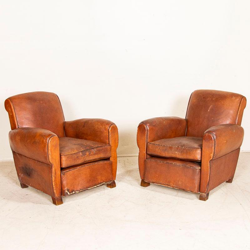Vintage leather club chairs are sought after these days by those seeking to add an aged element to a modern home. This pair of French club chairs with large rolled arms will do just that, with a dark patina that comes from generations of use. Signs