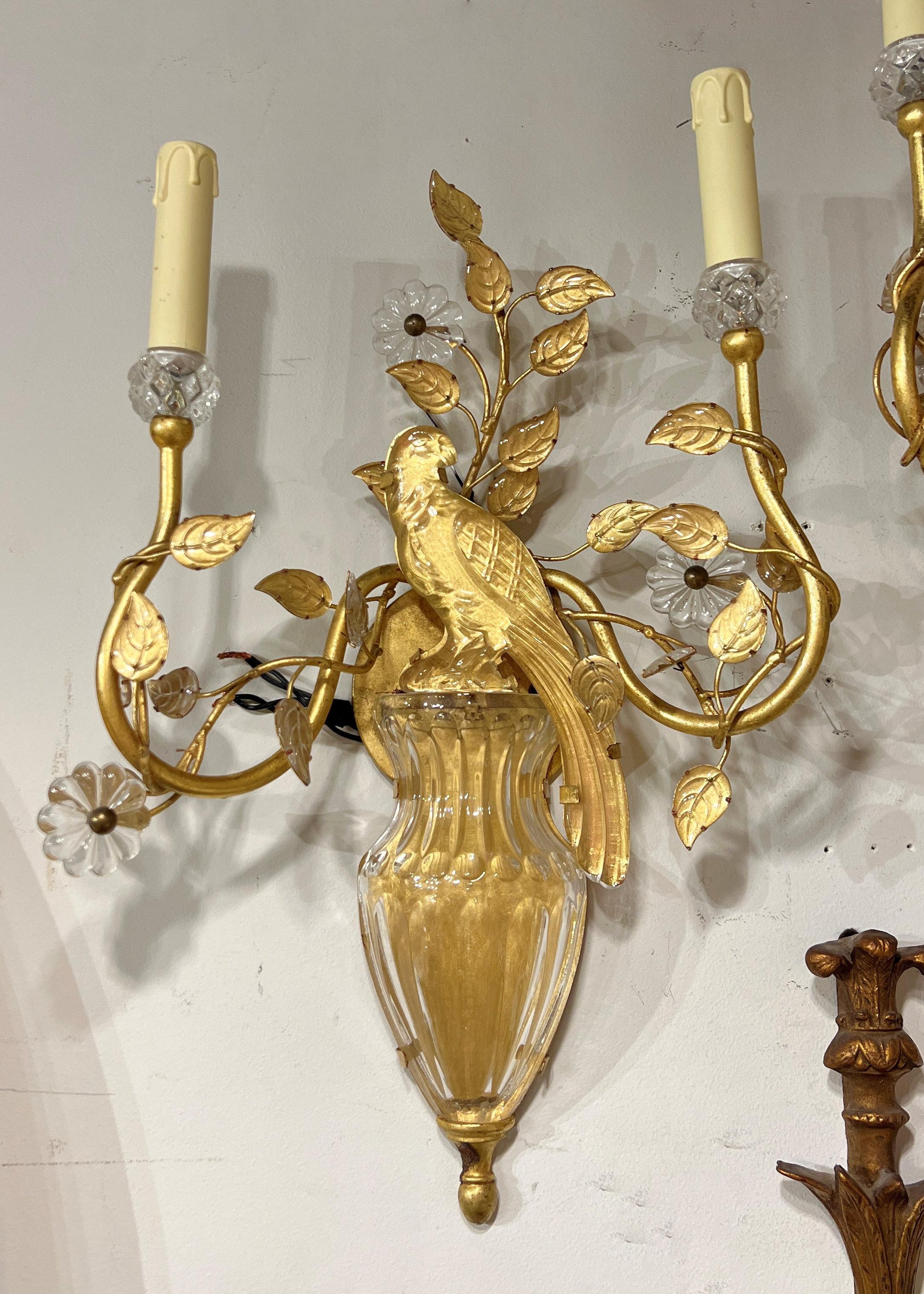 Coppia di grandi applique d'epoca in metallo dorato con pappagalli in vetro, in stile Belle Epoque, dopo gli originali della Maison Bagues.  Attribuito all'azienda italiana Banci.  Ognuno di essi misura circa 22 x 15 x 6 pollici con le coperture