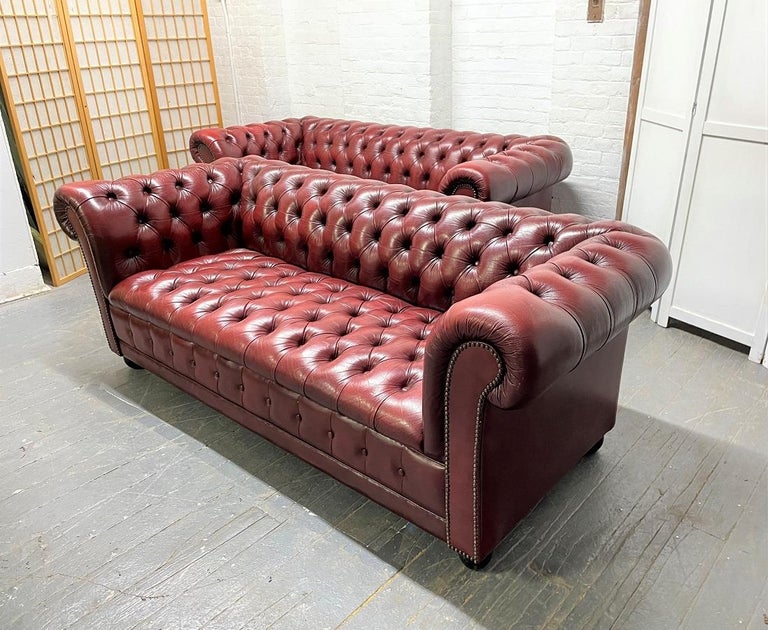 Pair of vintage tufted leather Chesterfield sofas. The leather is burgundy with solid black wooden bun feet. Has brass tacks to the front of the arms.