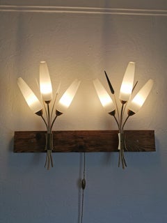 Paire d'appliques Arlus / Lunel 1955