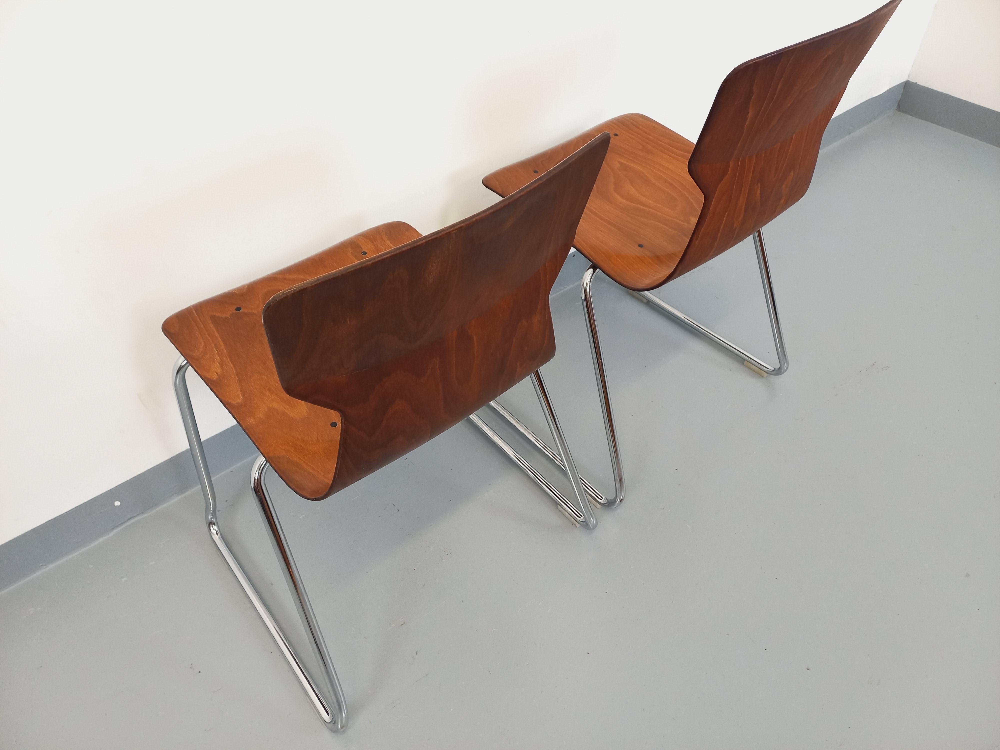 German Paire de chaises design Casala Obo-Formsitz vintage en bois courbé et chrome