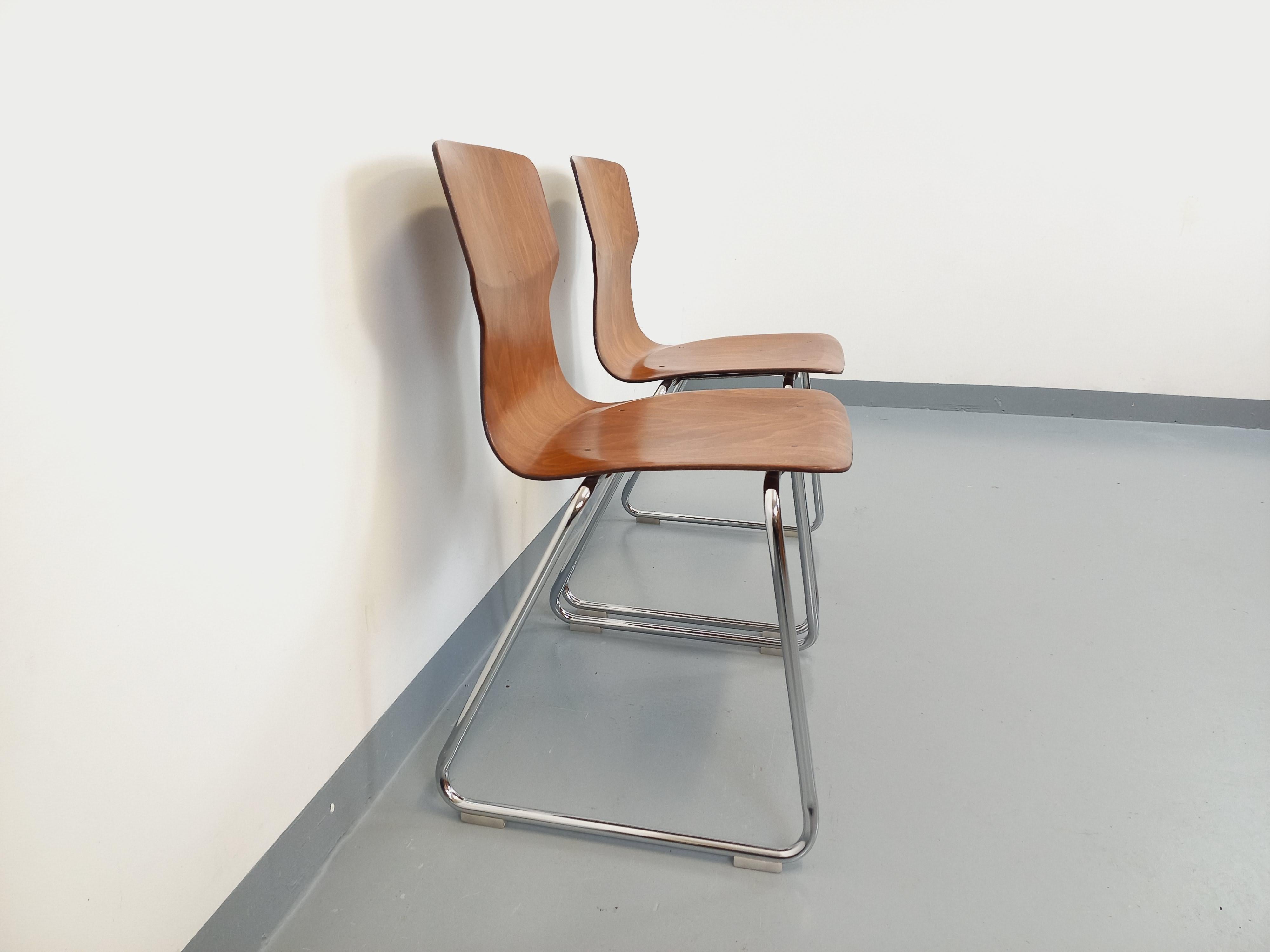 Paire de chaises design Casala Obo-Formsitz vintage en bois courbé et chrome 2
