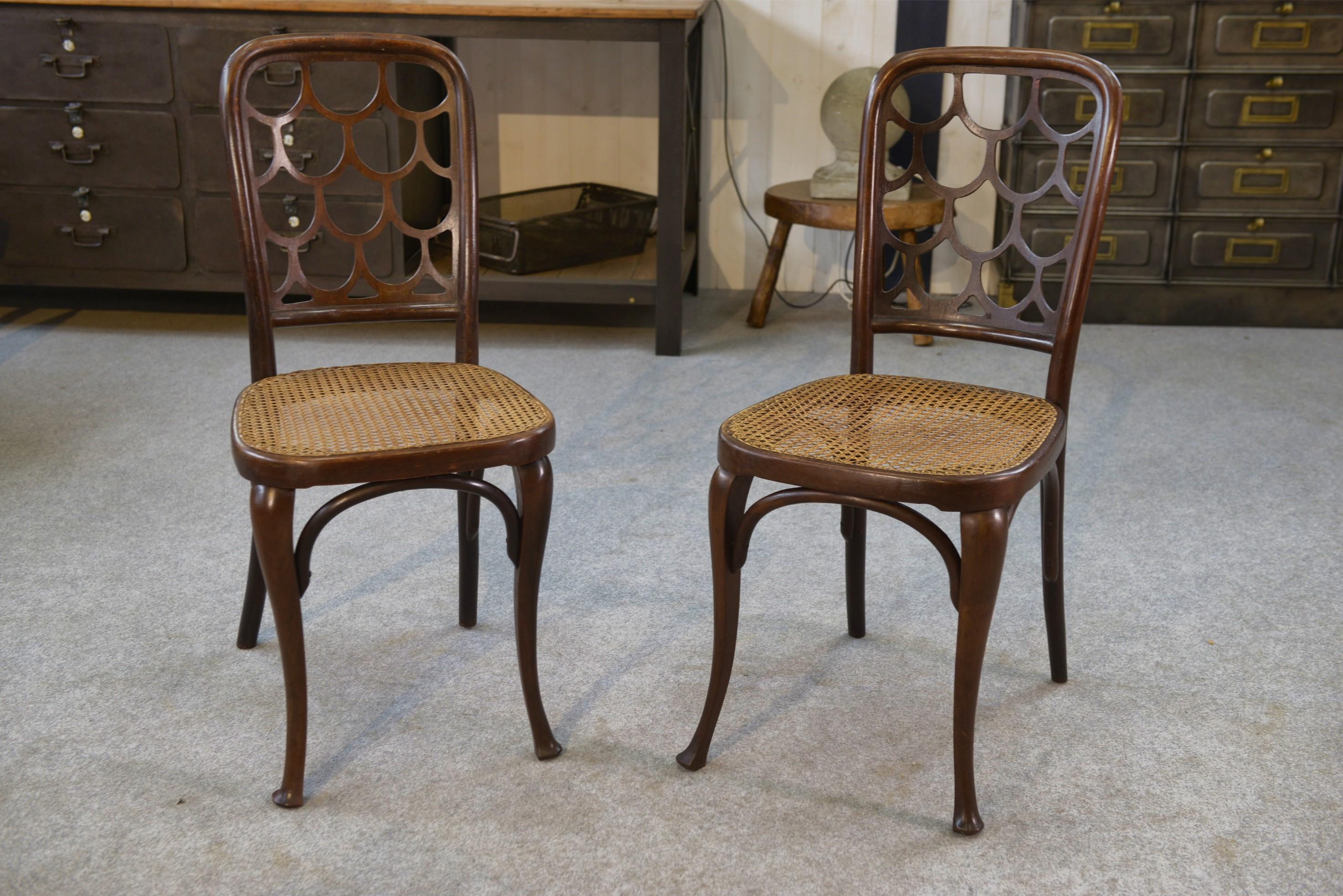 Beech Paire de chaises en bois de hêtre courbé Art nouveau attribué à Koloman Moser For Sale