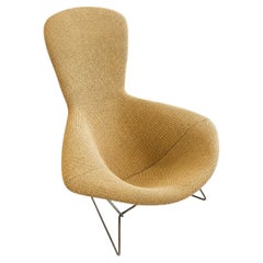 Paire de Fauteuil Bird par Harry Bertoia 1960