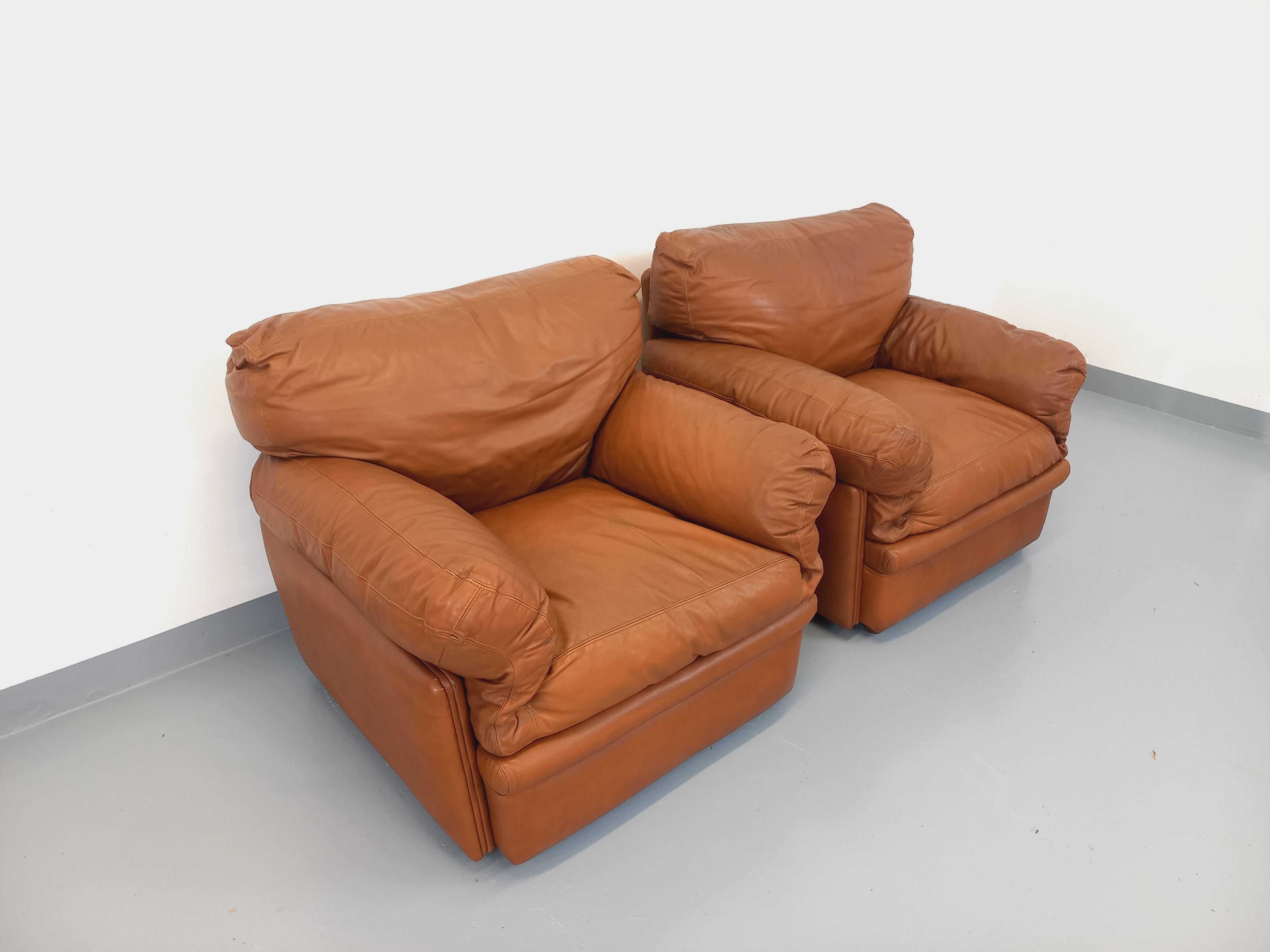 Paire de fauteuils lounge vintage Coquelicot de Tito Agnoli pour Poltrona Frau For Sale 5