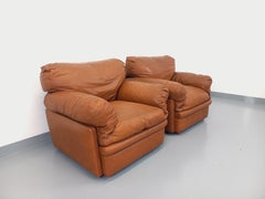 Paire de fauteuils de salon vintage Coquelicot de Tito Agnoli pour Poltrona Frau