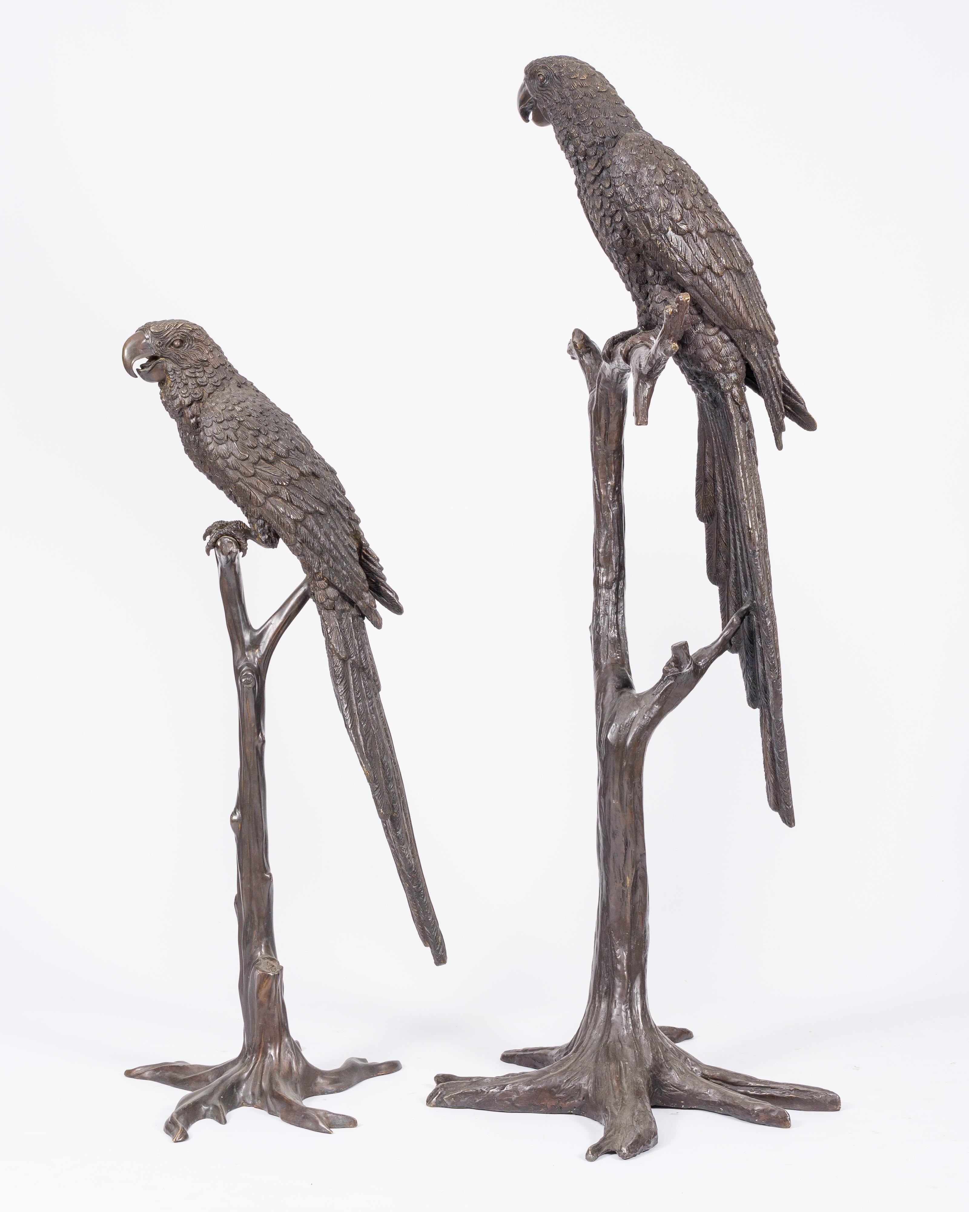 Paire d'impressionnants modèles en bronze patiné brun représentant un ara sur une branche, 20e siècle.

Description :
H 173 - 131 cm