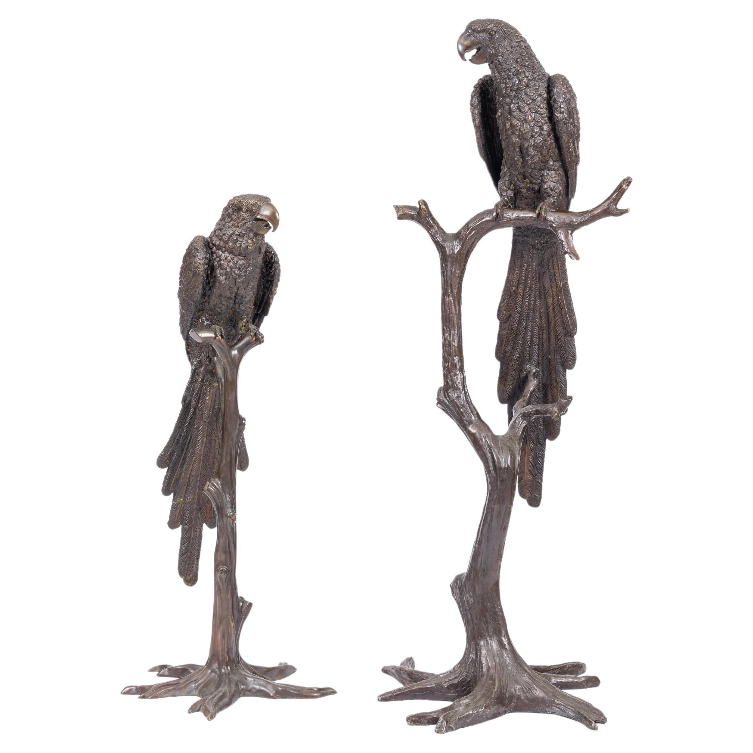 Paire d'impressionnantes statues en bronze patiné brun représentant des aras en vente
