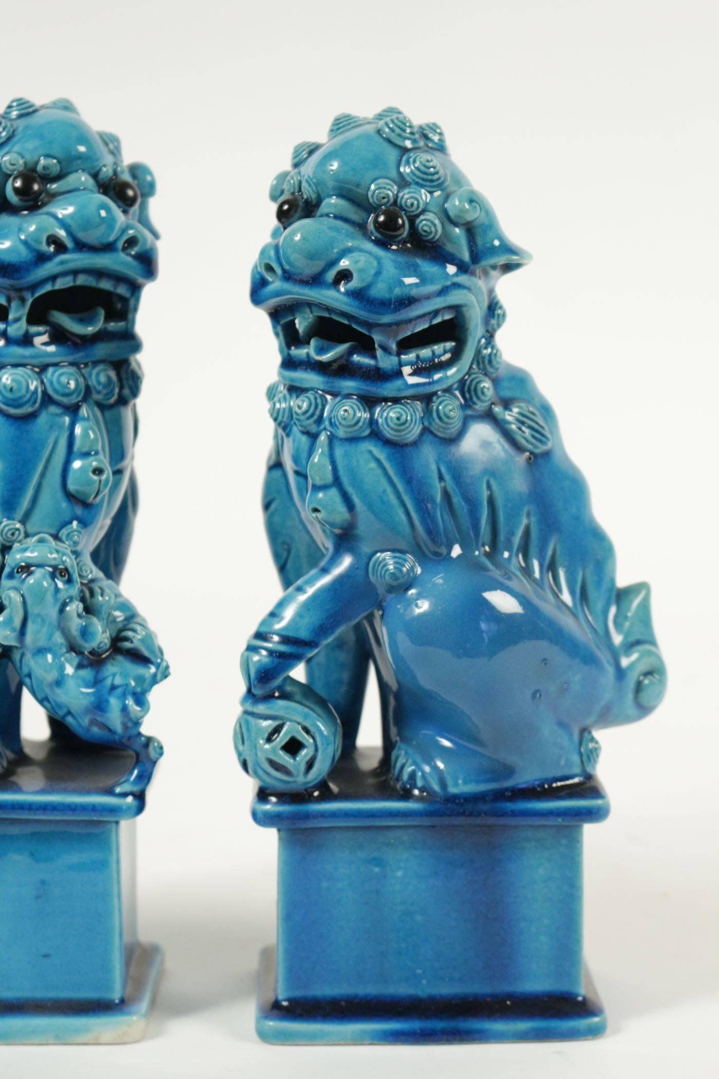 Paire of Turquoise Porcelain and enamel Pho Dogs C.1900. 
h: 26cm, l: 13cm, p: 10cm