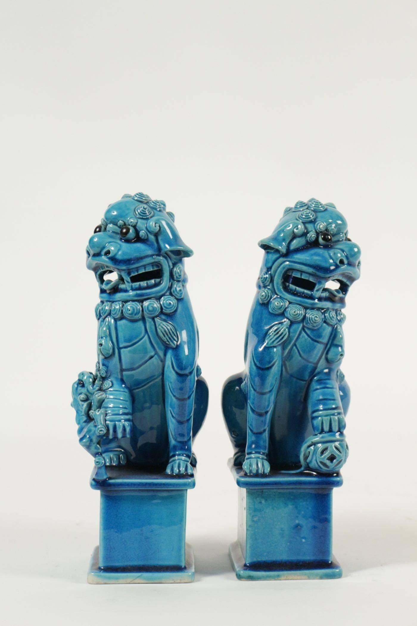 Asian Paire of Turquoise Porcelain and Enamel Pho Dogs, circa 1900