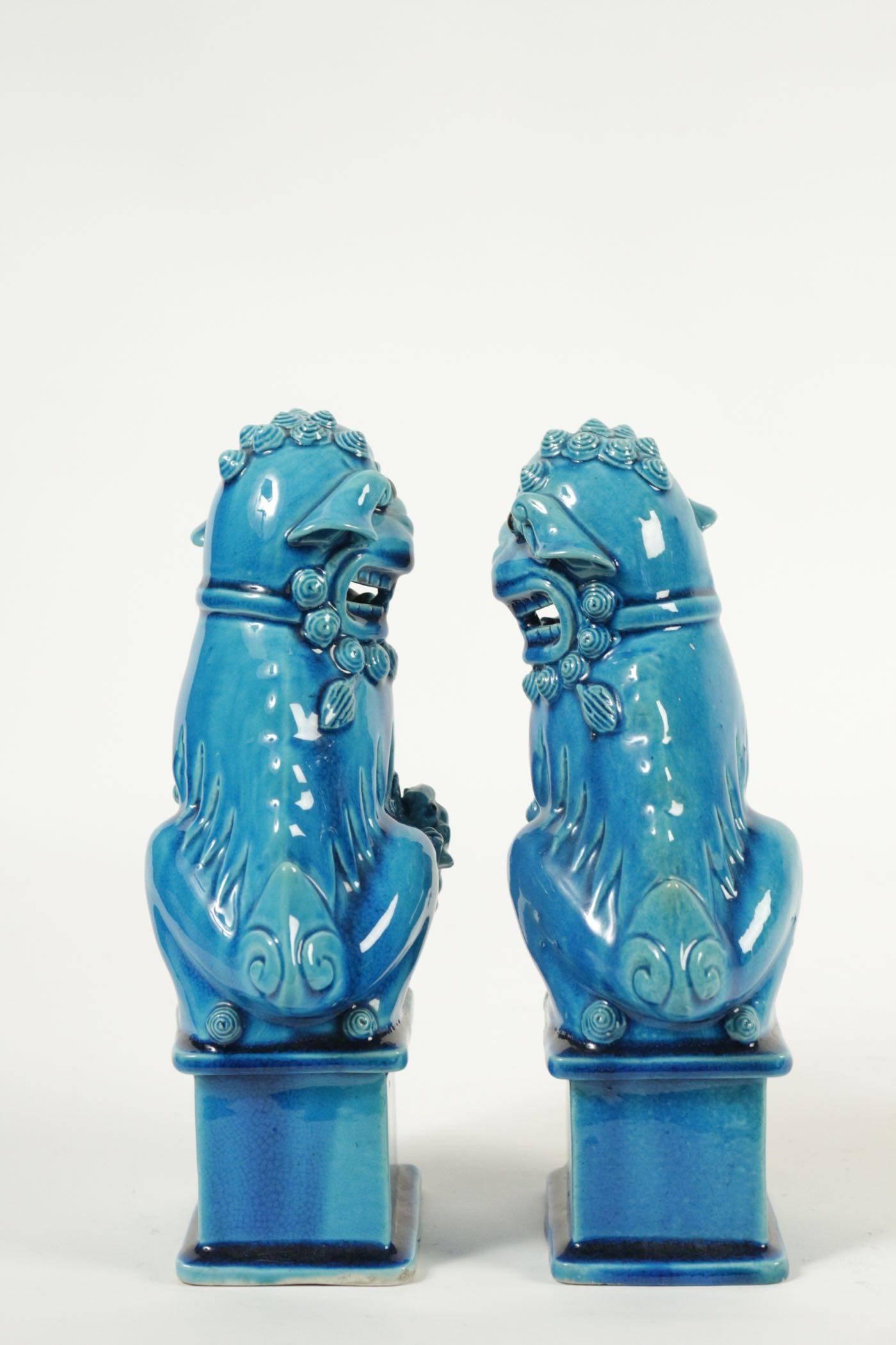 Early 20th Century Paire of Turquoise Porcelain and Enamel Pho Dogs, circa 1900