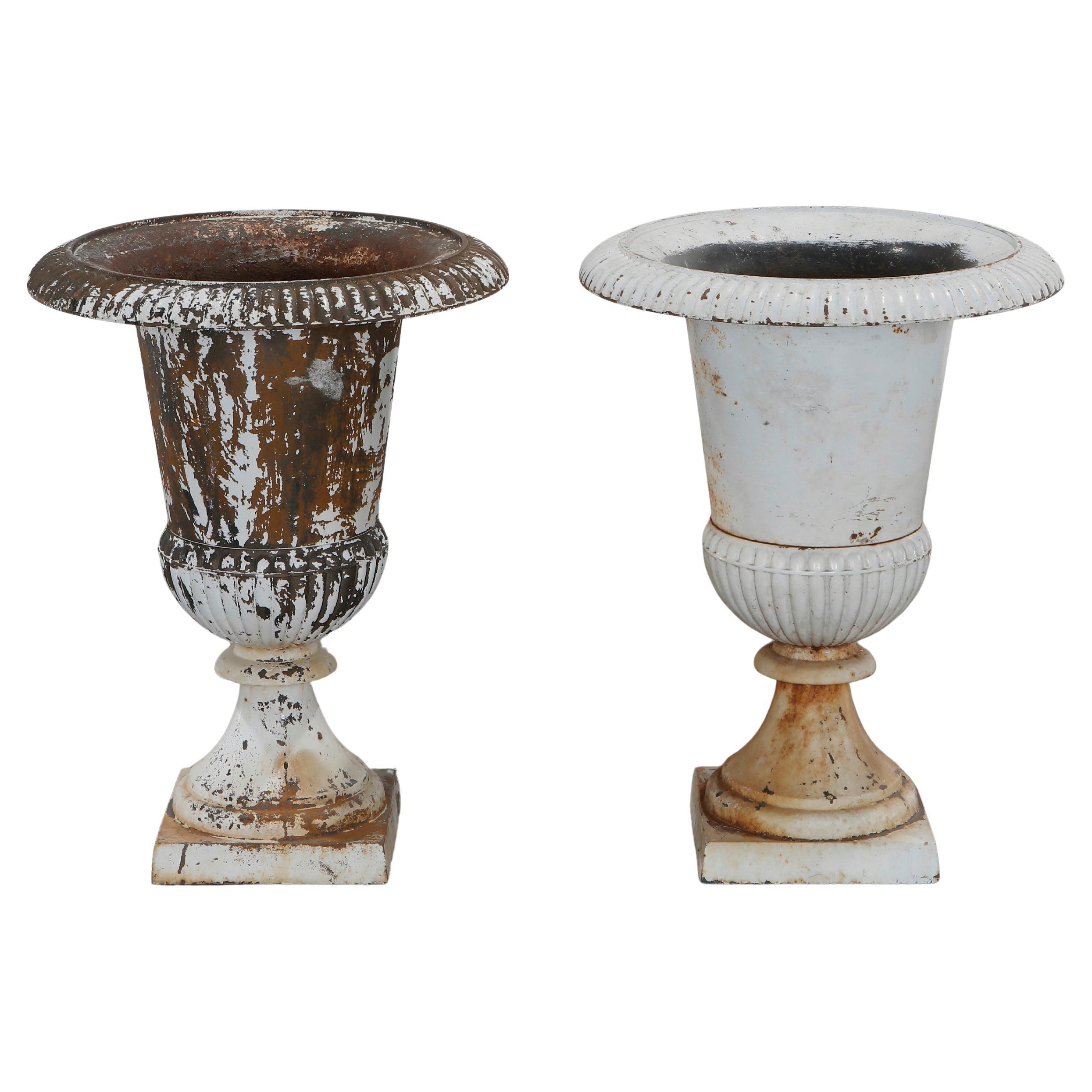 Pairs of 19th Century French Medici Urns
