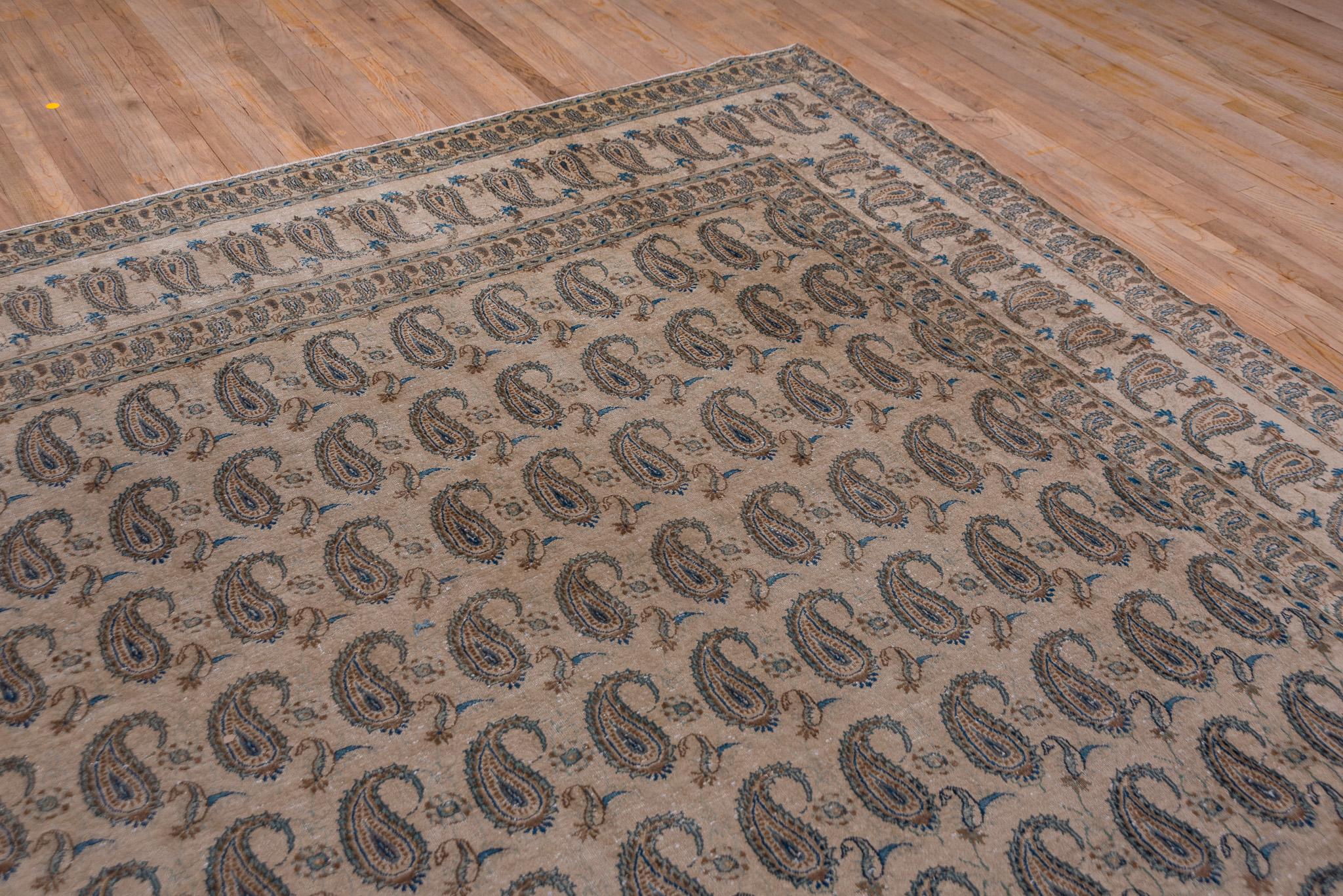 Wool Paisley Oak and Cream Sivas For Sale