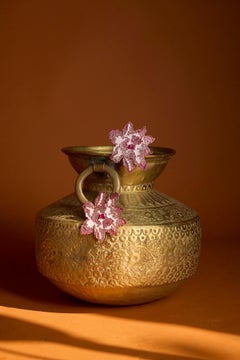 Paithani - Der gewebte Lotus