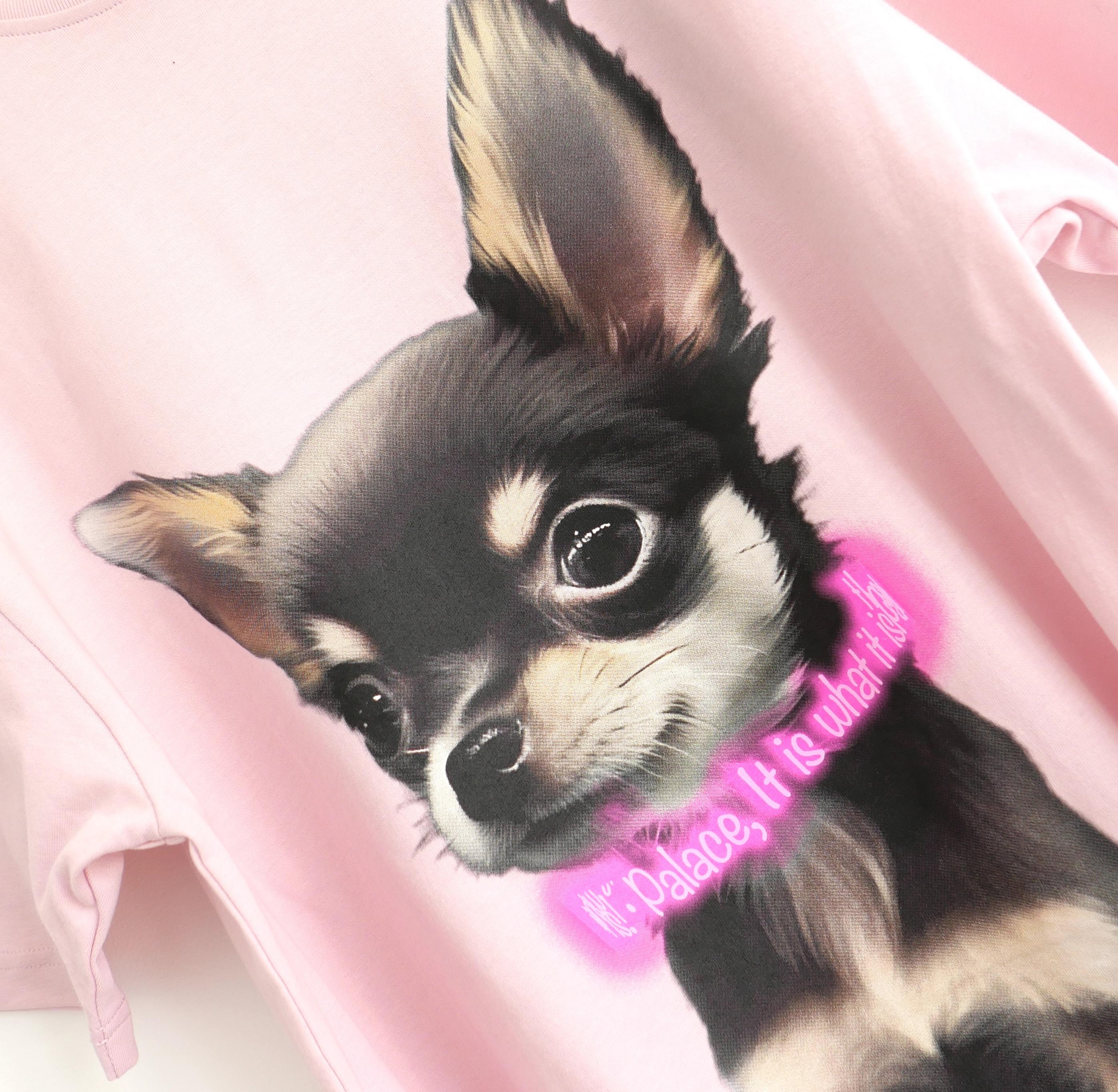 Totally sold out SS25 collection Palace Yappy T-shirt in Lush Flush. New with Dover Street Market tag and packing bag. Pink cotton with adorable chihuahua print. Unisex. Size L. Measures approx - bust/chest 42”and length 27”
