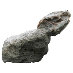 Palaeolagus (Fossilized Rabbit)