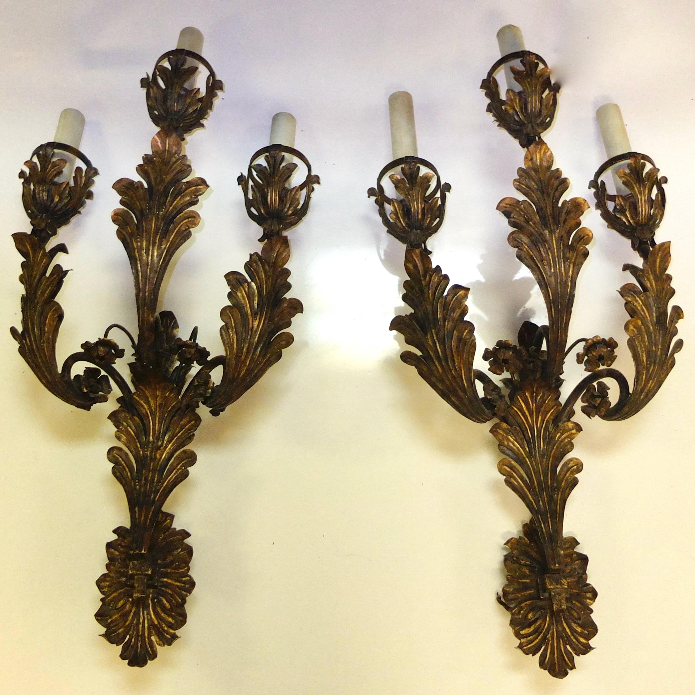Pair of arrestingly beautiful and monumental Italian three branch wall lights constructed of cast iron with tole acanthus leaves finished in gilt bronze patination. Original off white enameled aluminum candle sleeves. Each takes three standard