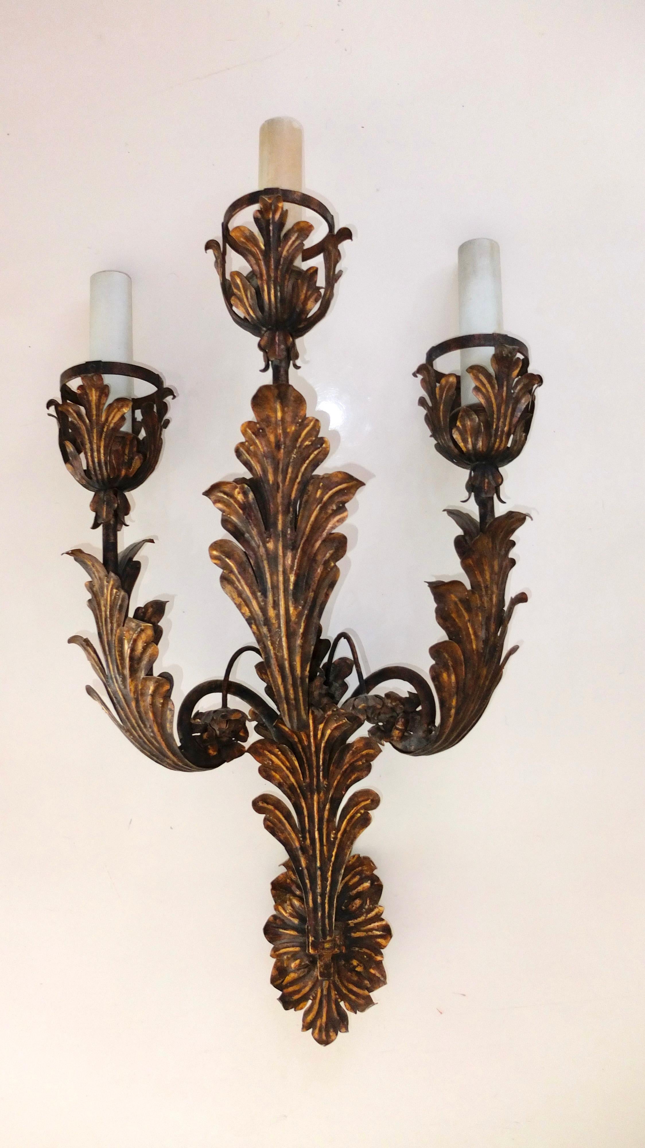 Gilt Palazzo Scale Italian Tole Sconces with Acanthus Leaves For Sale