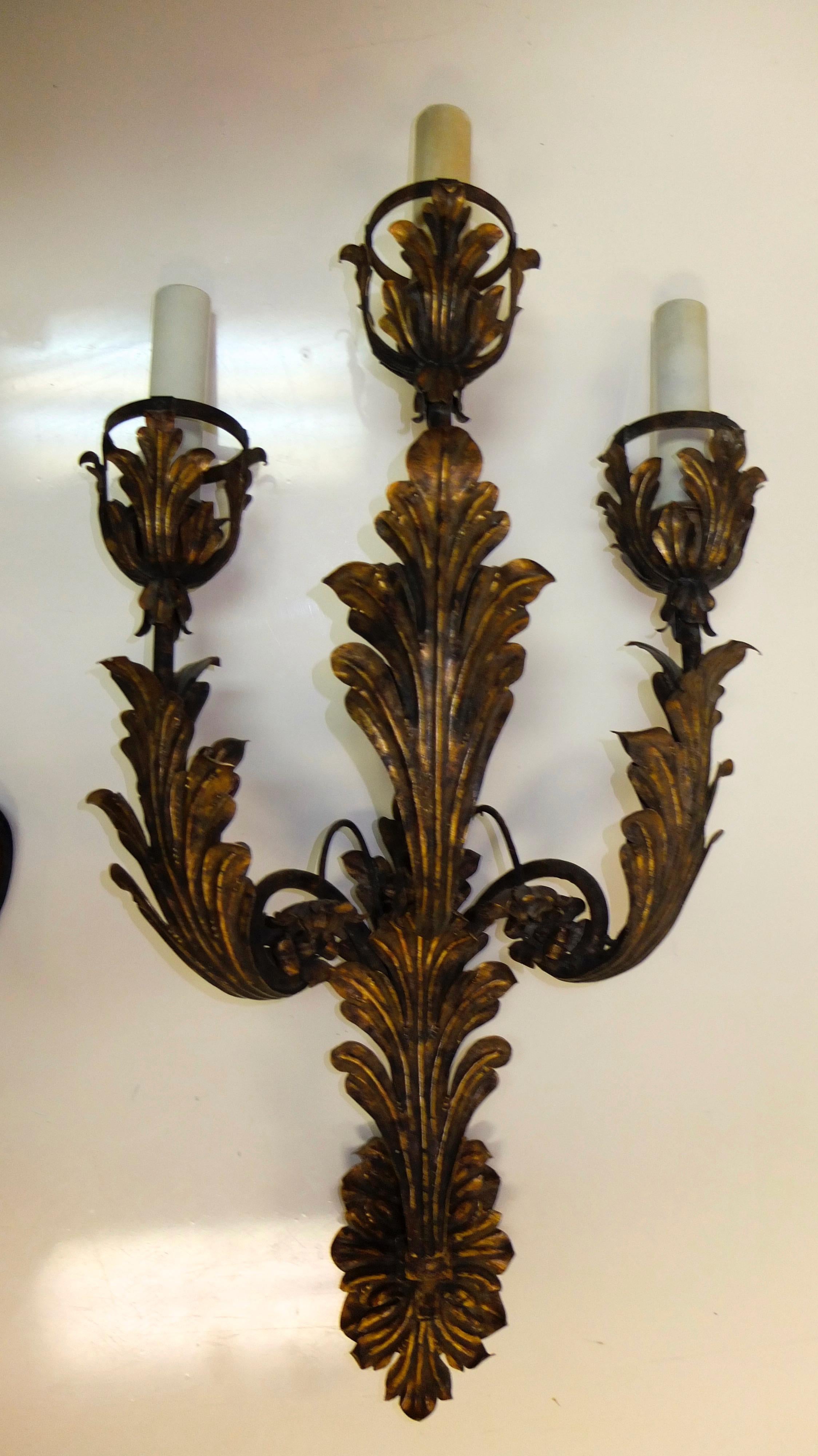 20th Century Palazzo Scale Italian Tole Sconces with Acanthus Leaves For Sale