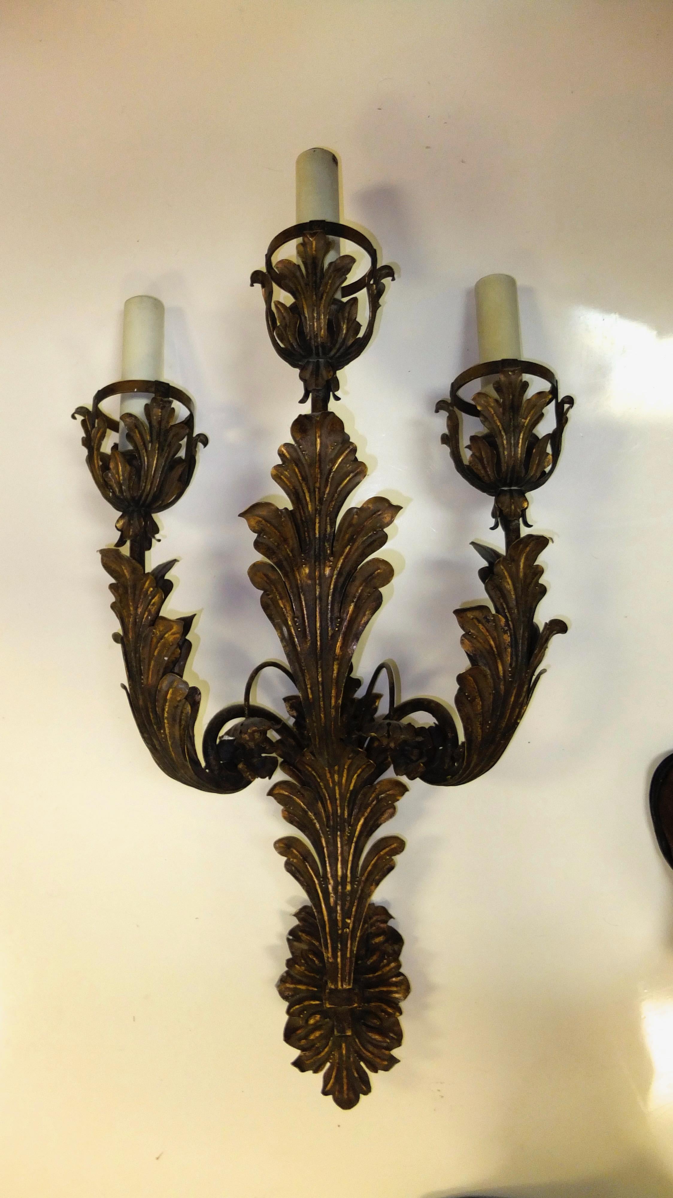Iron Palazzo Scale Italian Tole Sconces with Acanthus Leaves For Sale
