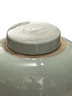 Pale Blue Lidded Ginger Jar, China, Contemporary