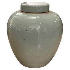 Pale Blue Lidded Ginger Jar, China, Contemporary