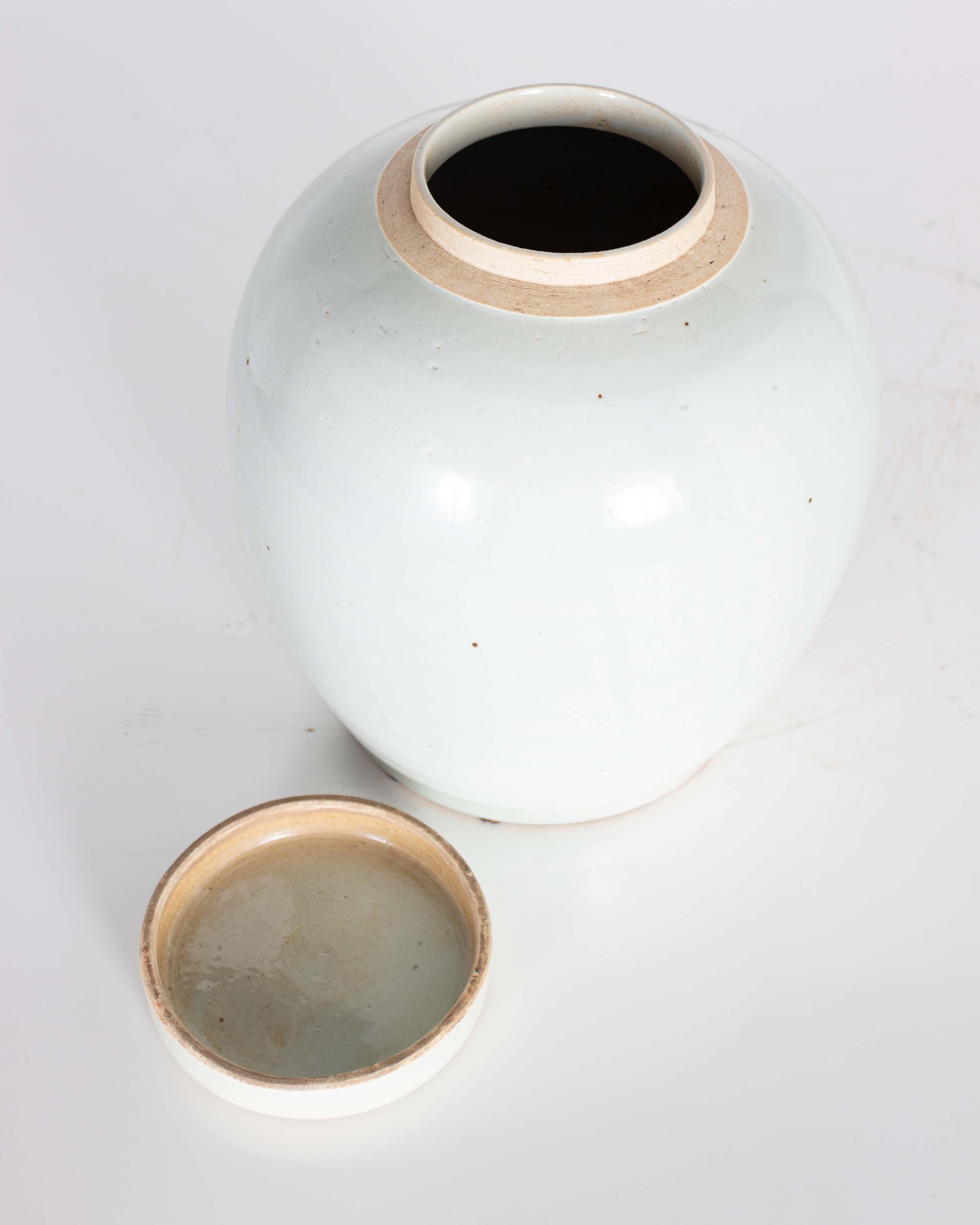 Other Pale Celadon Crackle Glaze Vase with CAP For Sale